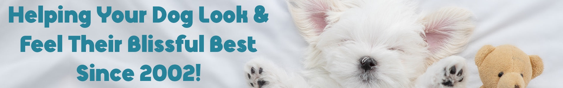 Shop All Dog