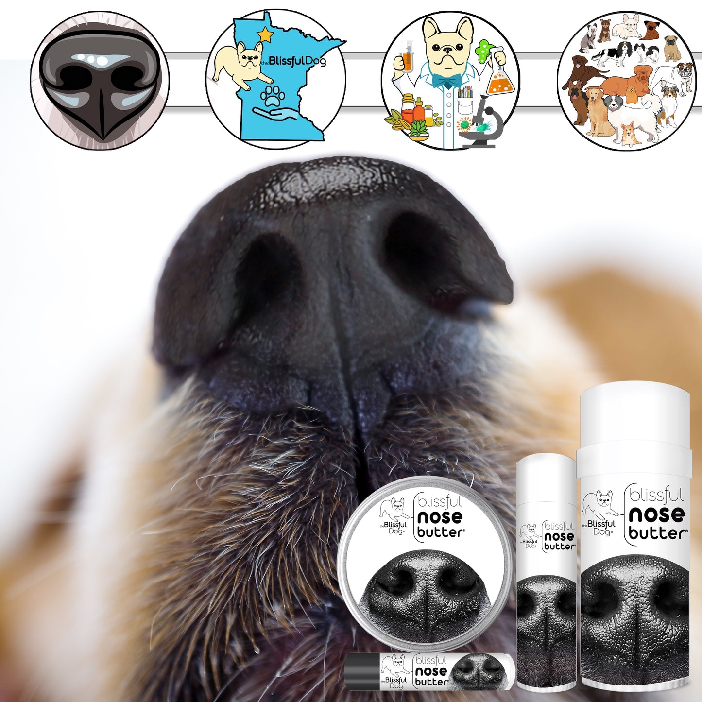 dog dry nose balm