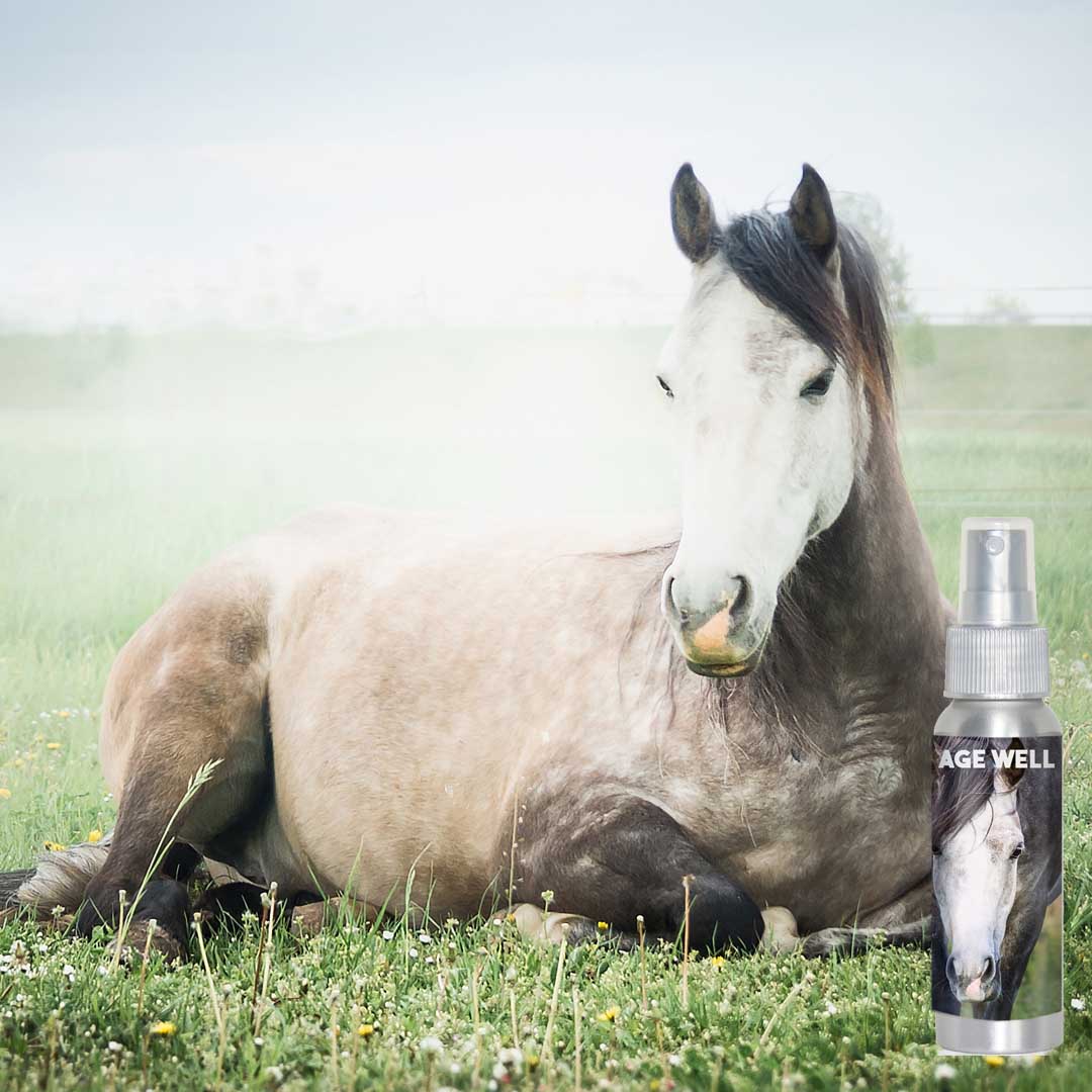 age well horse aromatherapy spray