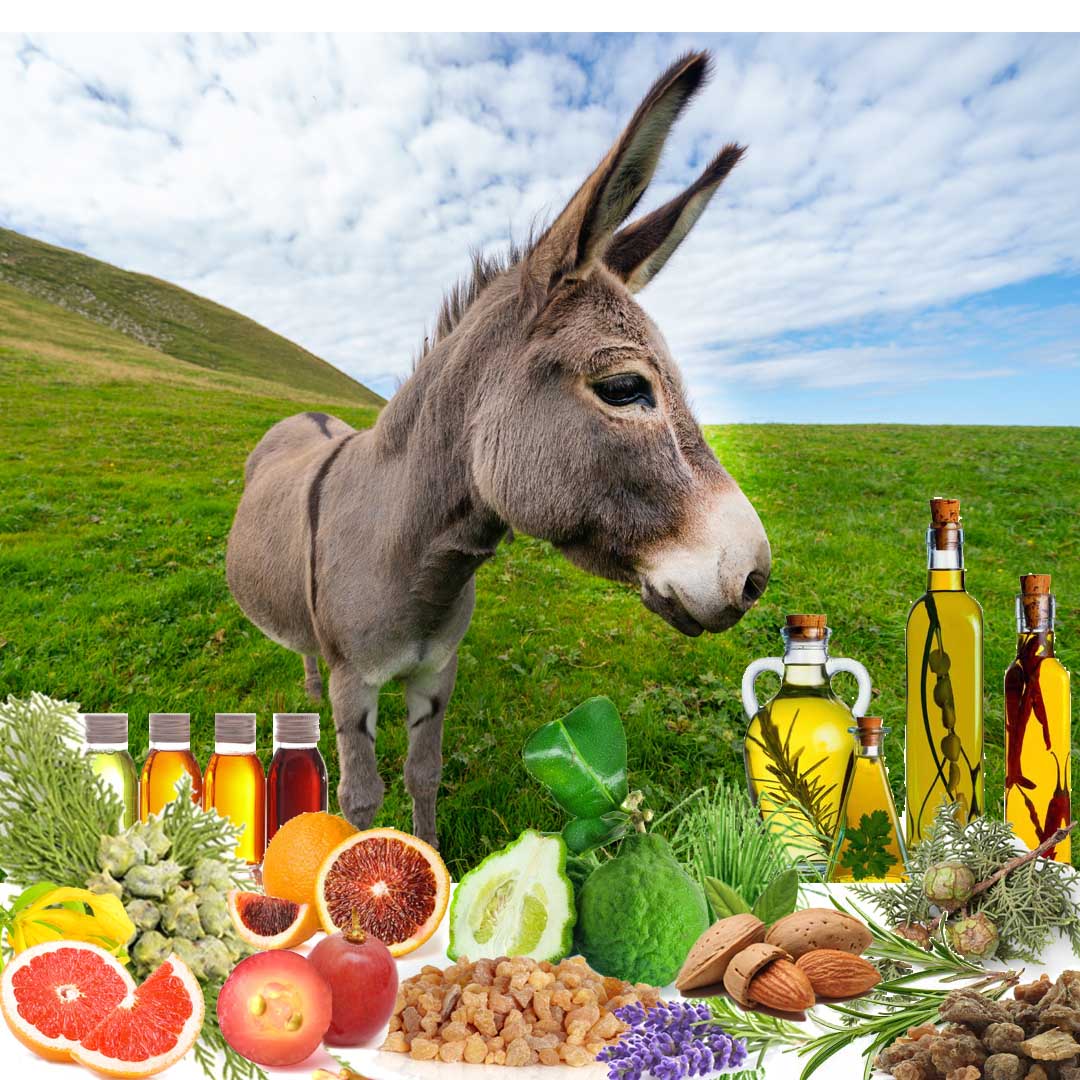 ingredients in age well horse aromatherapy
