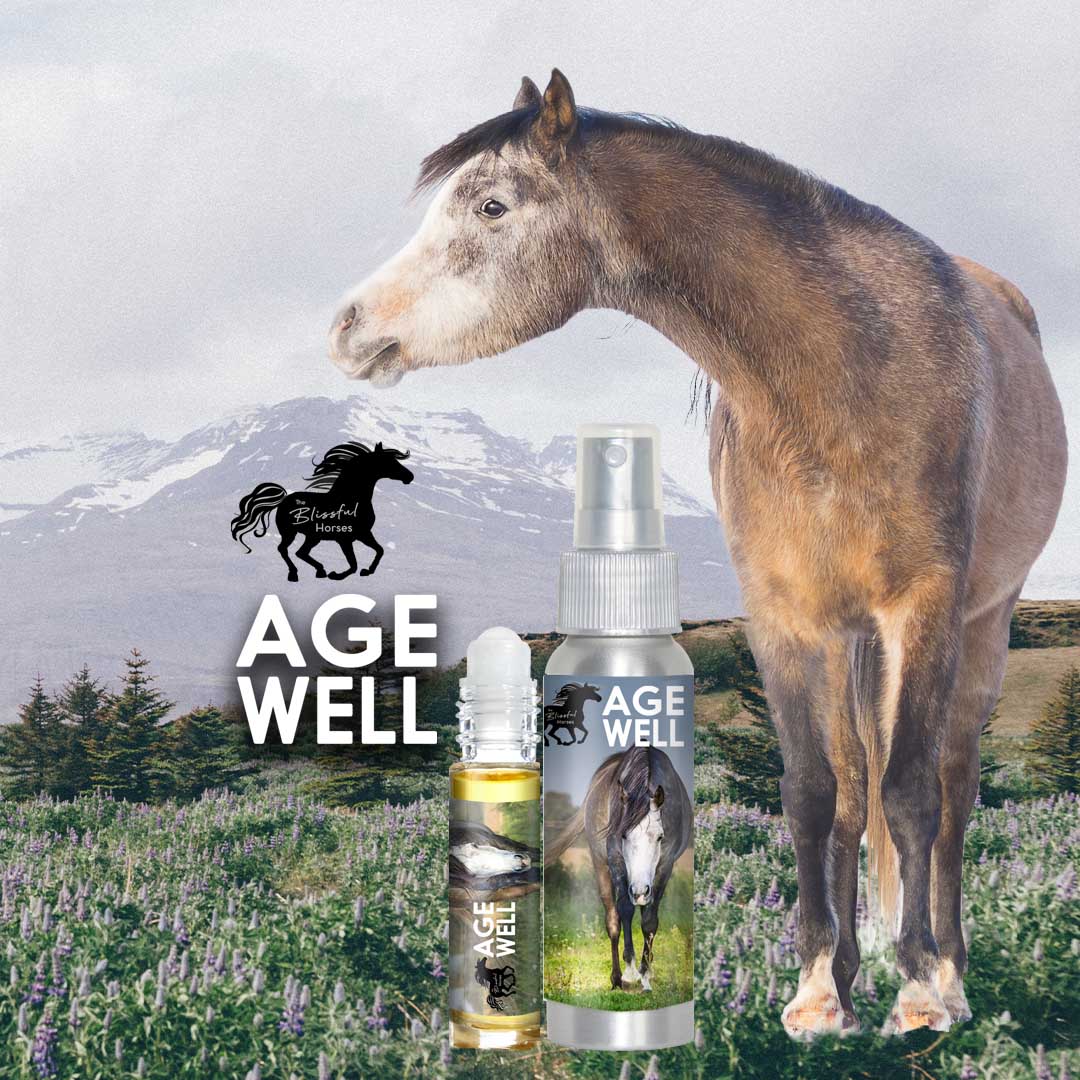 senior horse aromatherapy care