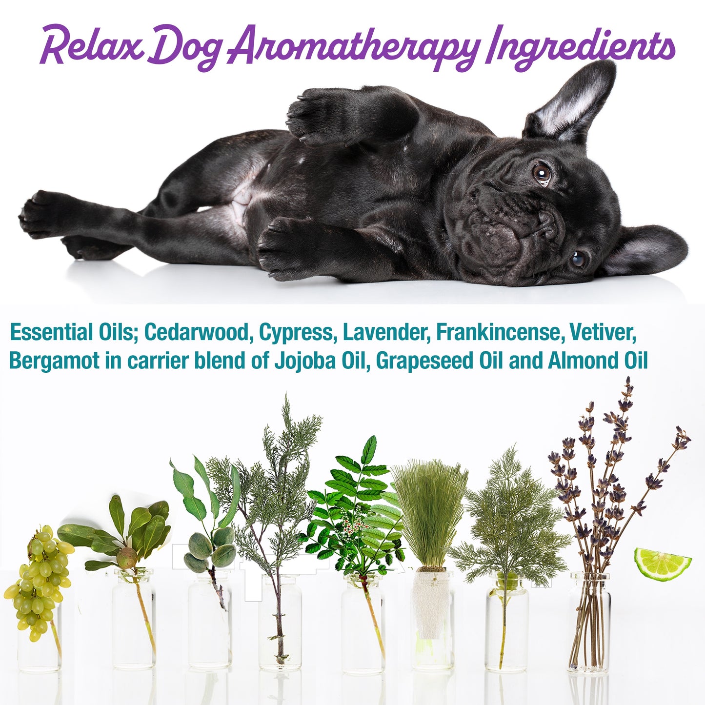 Relax Dog Aromatherapy