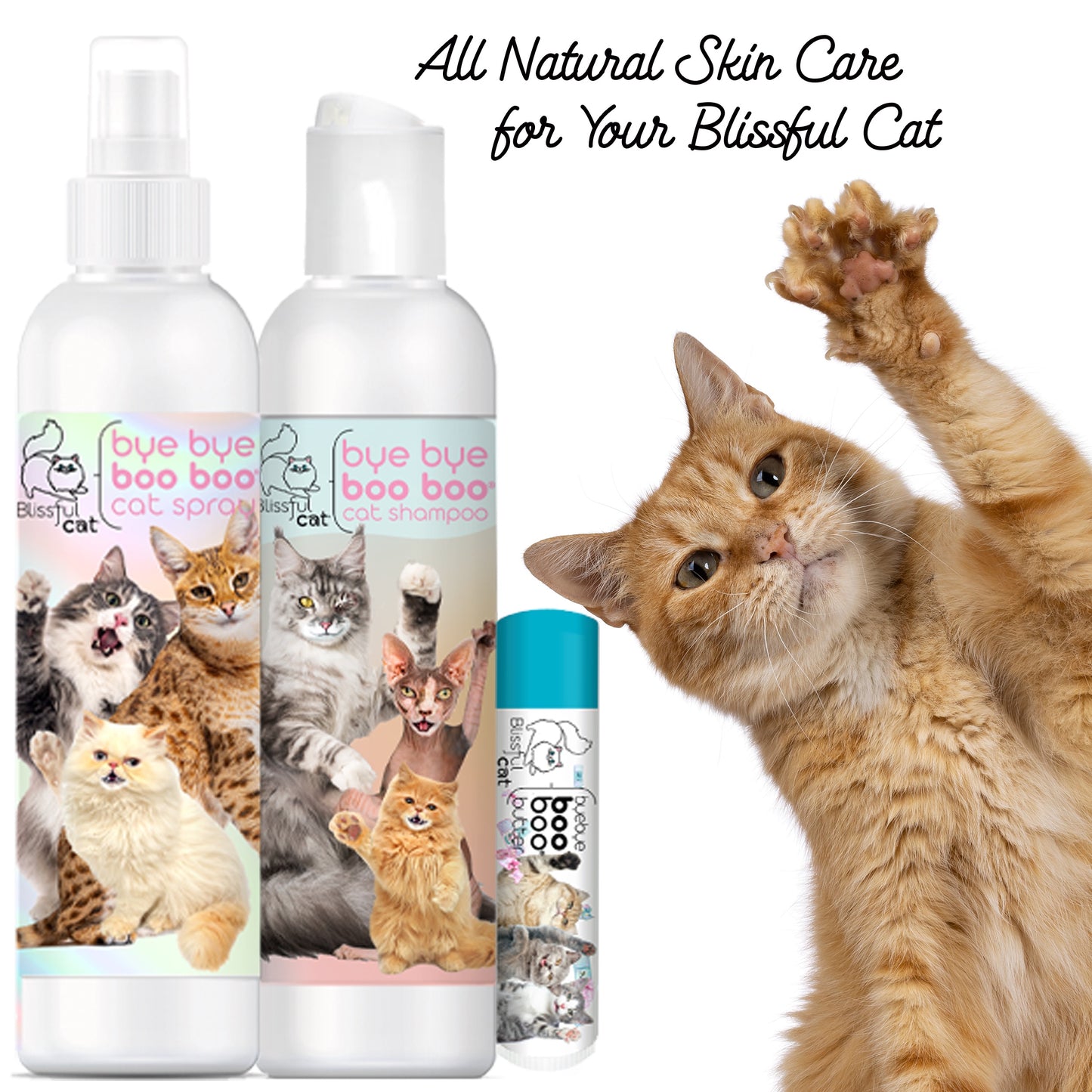 Bye Bye Boo Boo® Hello Bliss Combo Kit for Cats