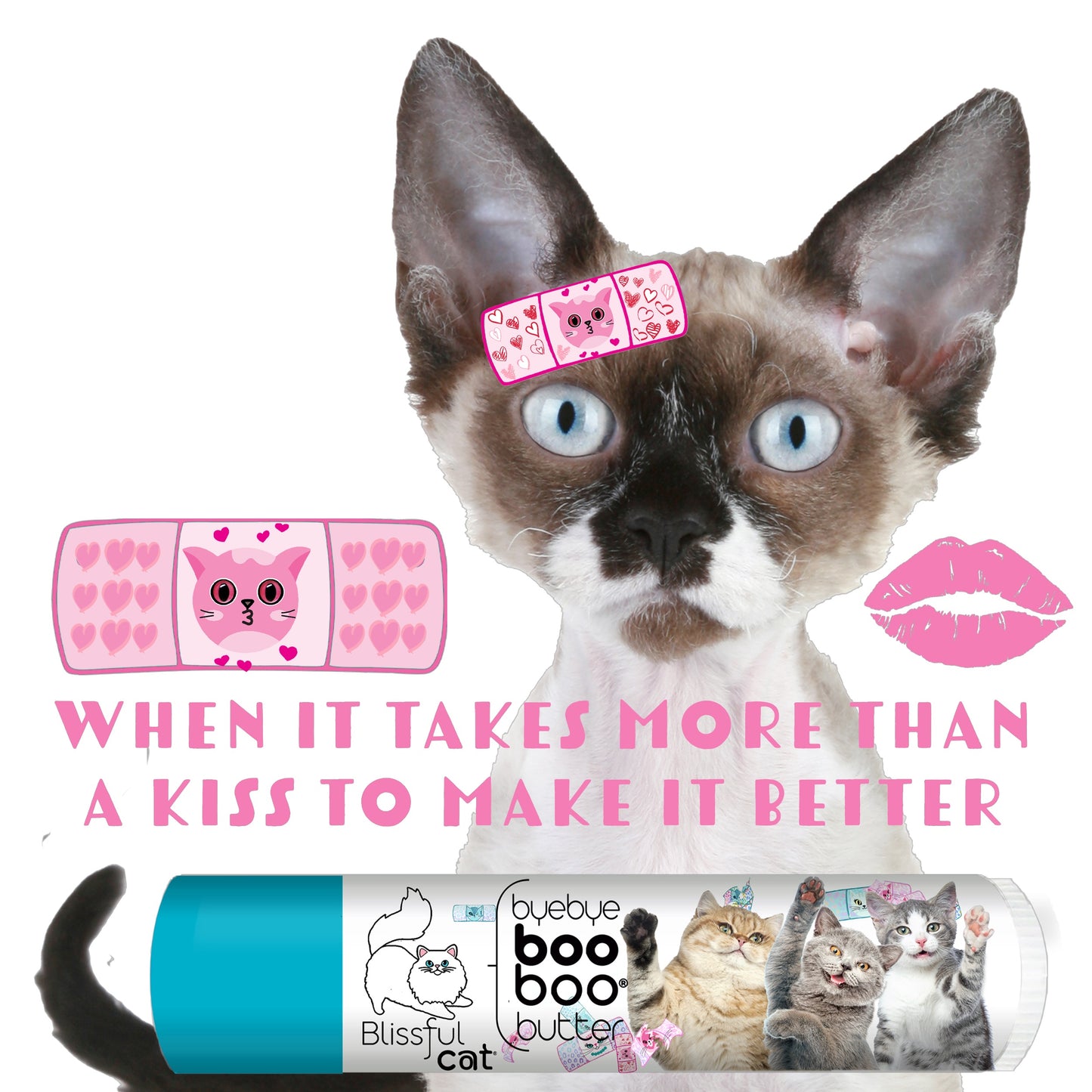 Bye Bye Boo Boo® Hello Bliss Combo Kit for Cats