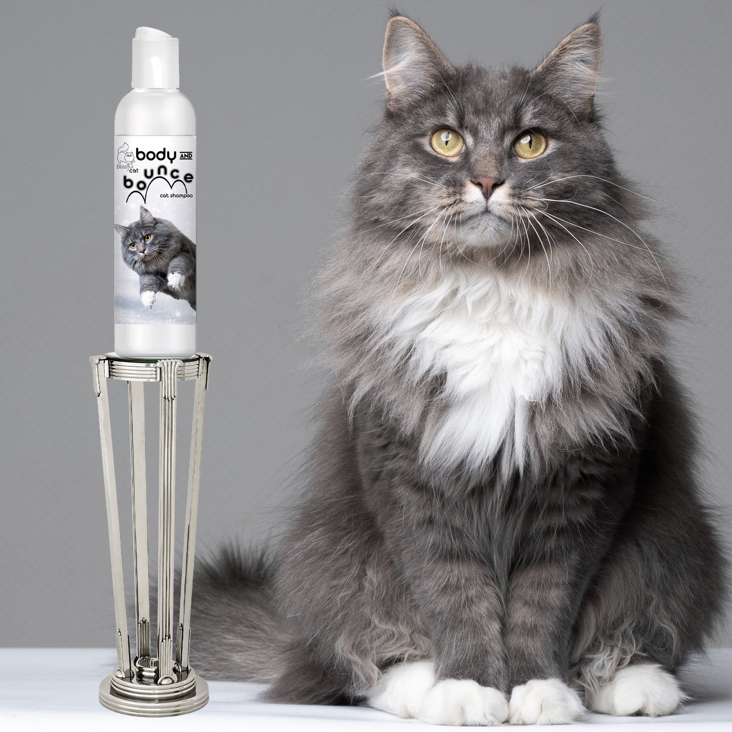 Body & Bounce Cat Shampoo | Blissful Cat