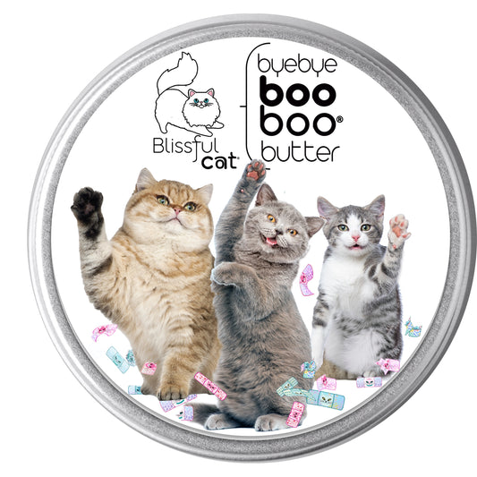 blissful cat boo boo butter