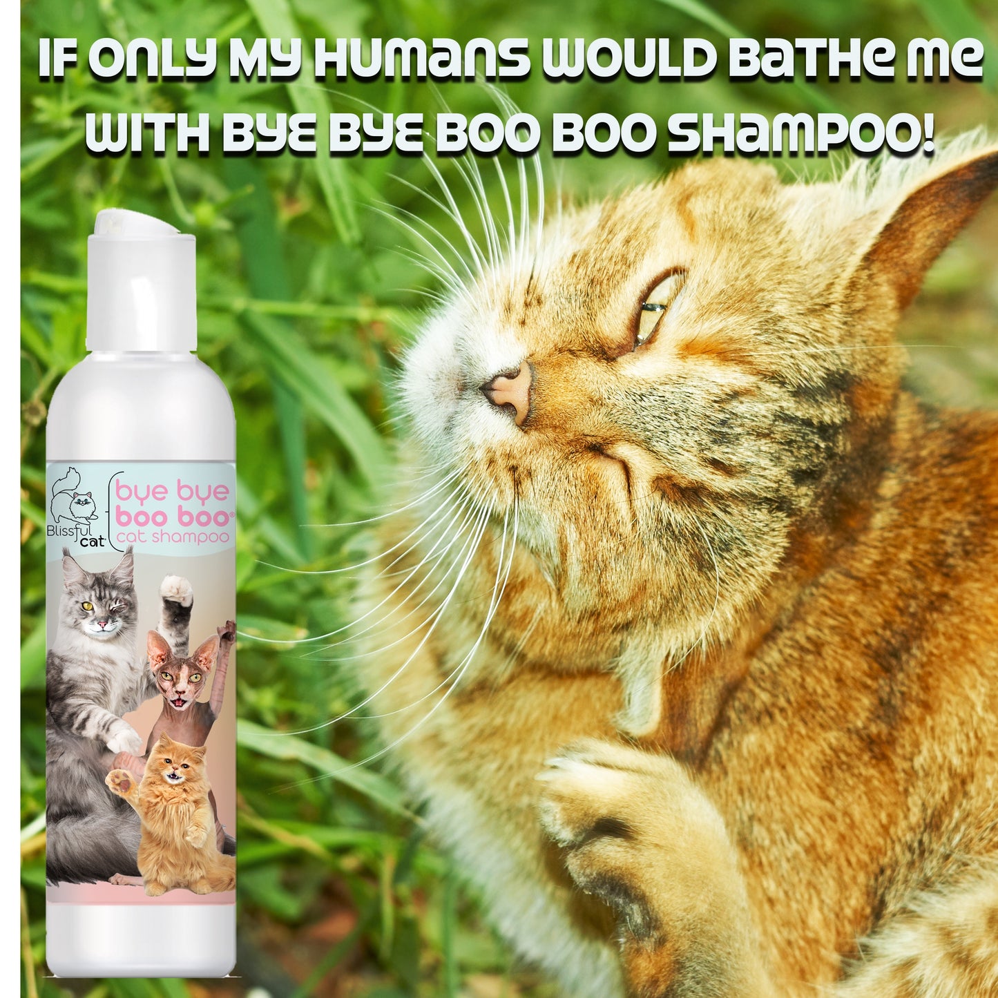 Bye Bye Boo Boo® Cat Shampoo