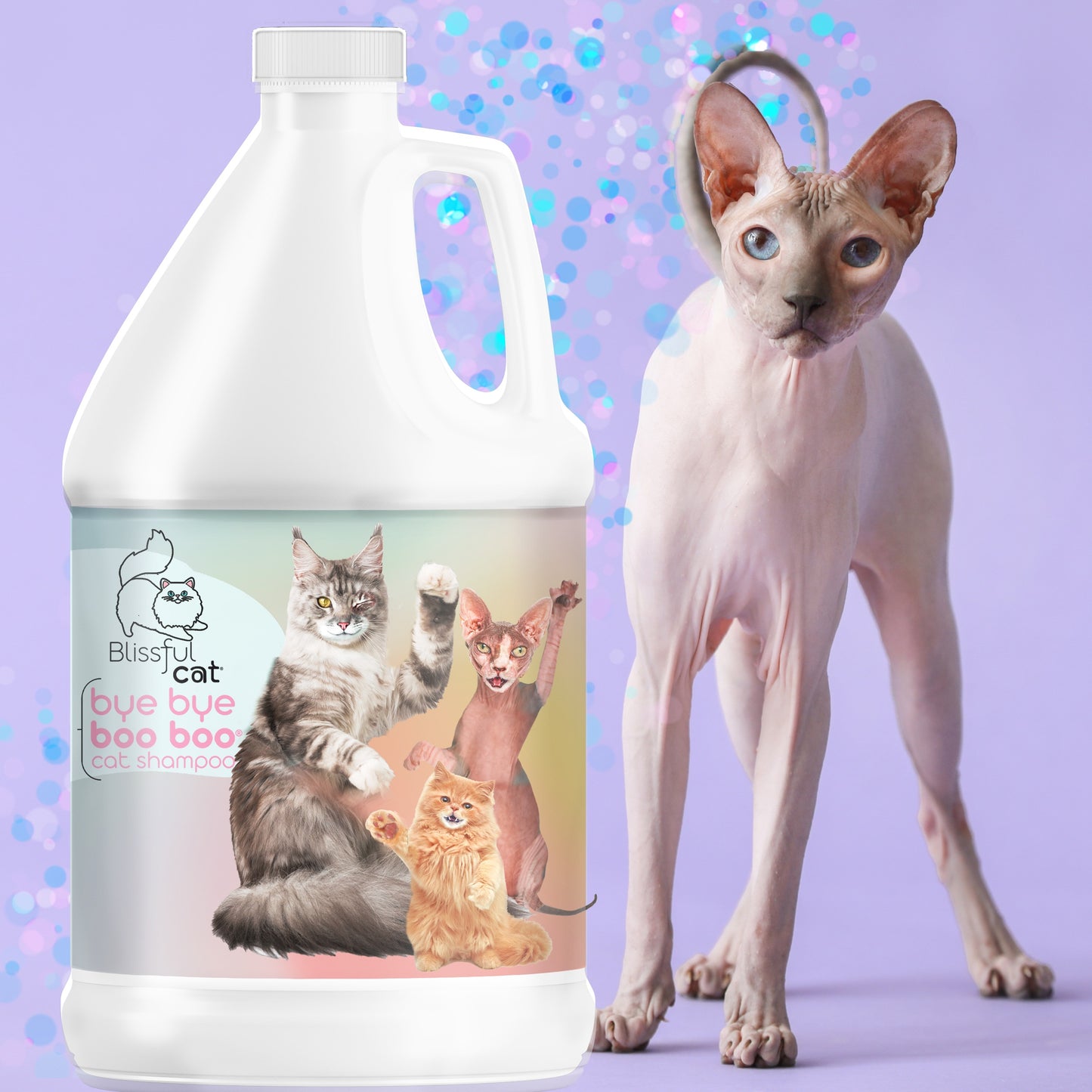 cat shampoo for itchy cats