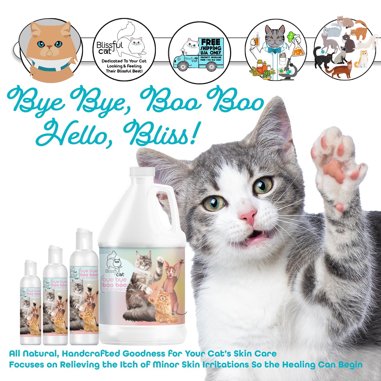 cat shampoo helps stop itching