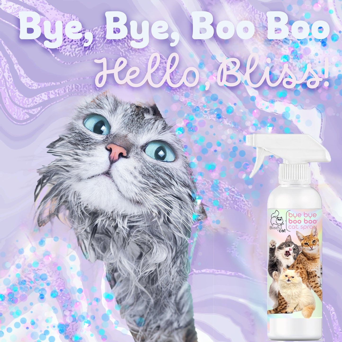 soothe cats itchy skin