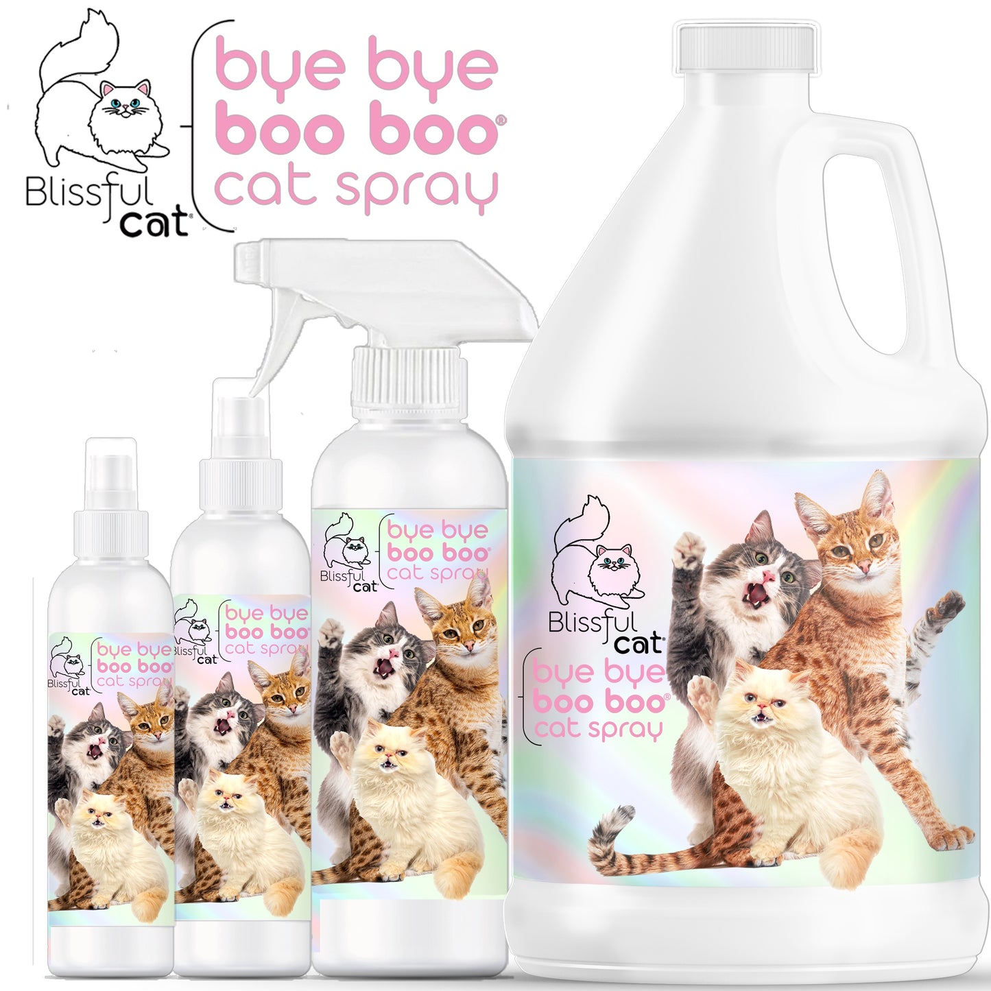 help cats itchy skin