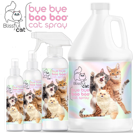 help cats itchy skin