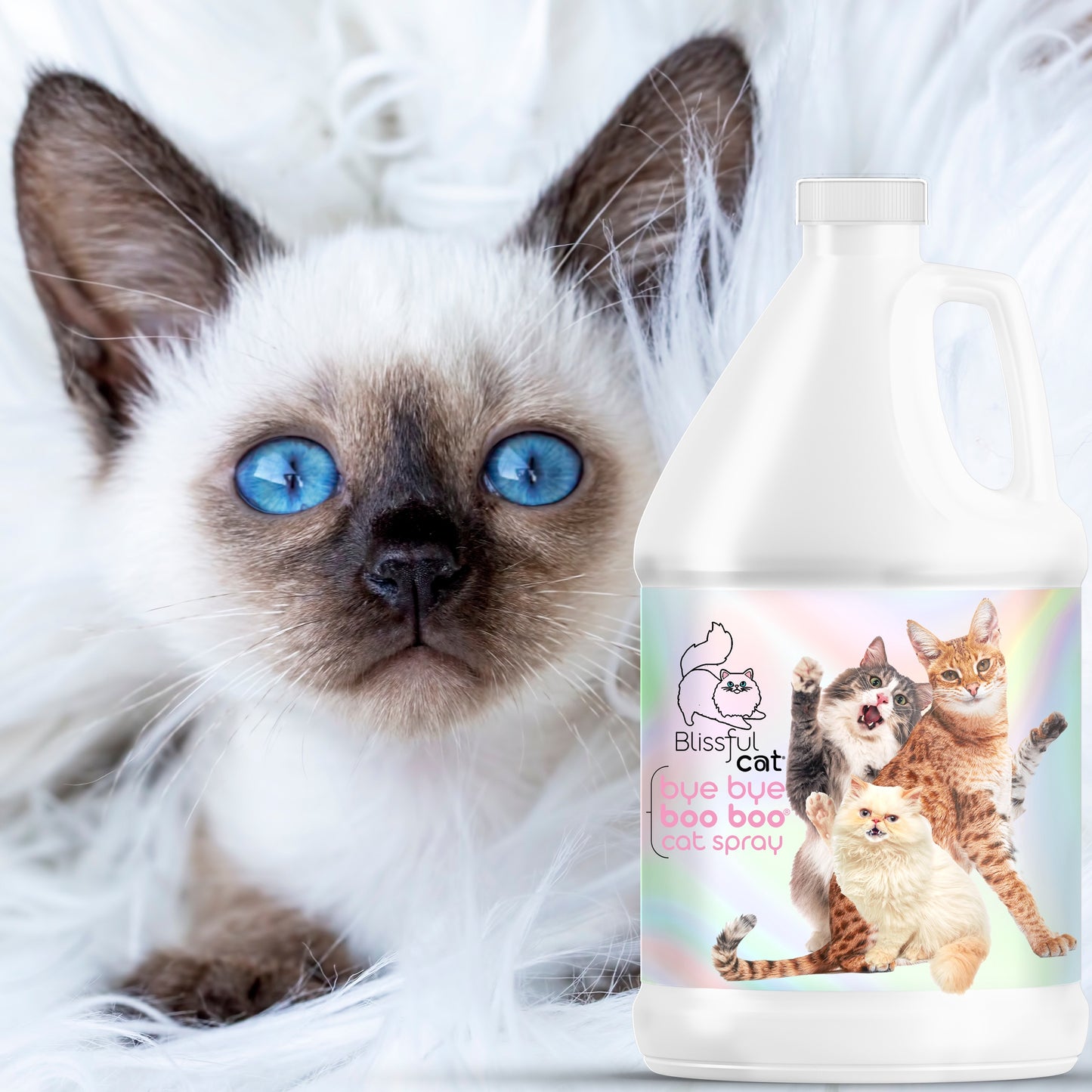 Bye Bye Boo Boo® Cat Spray