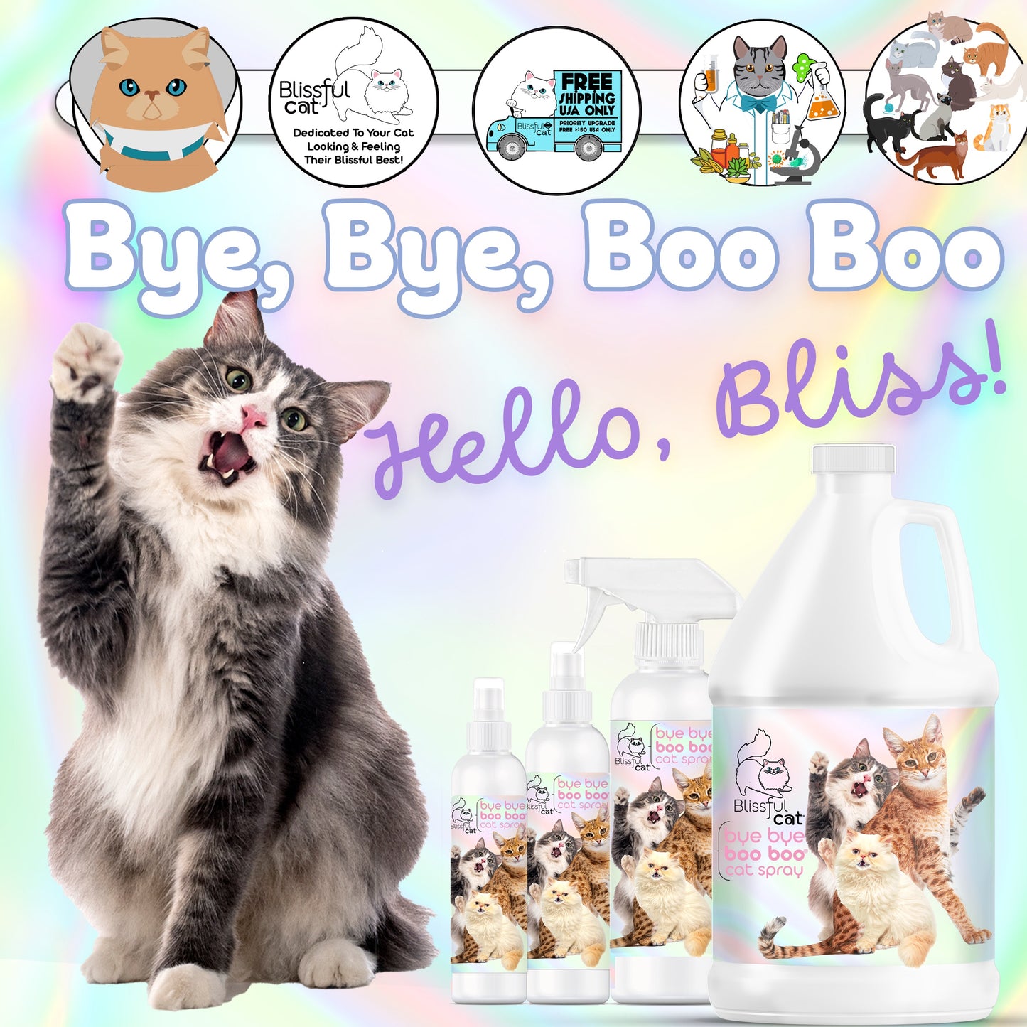 help itchy cats