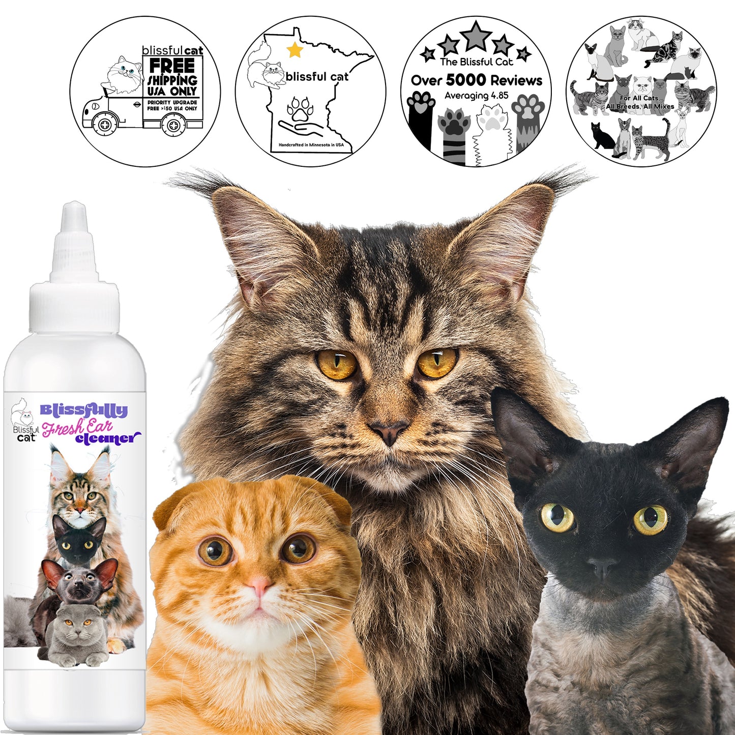 Blissfully Fresh® Cat Ear Cleaner
