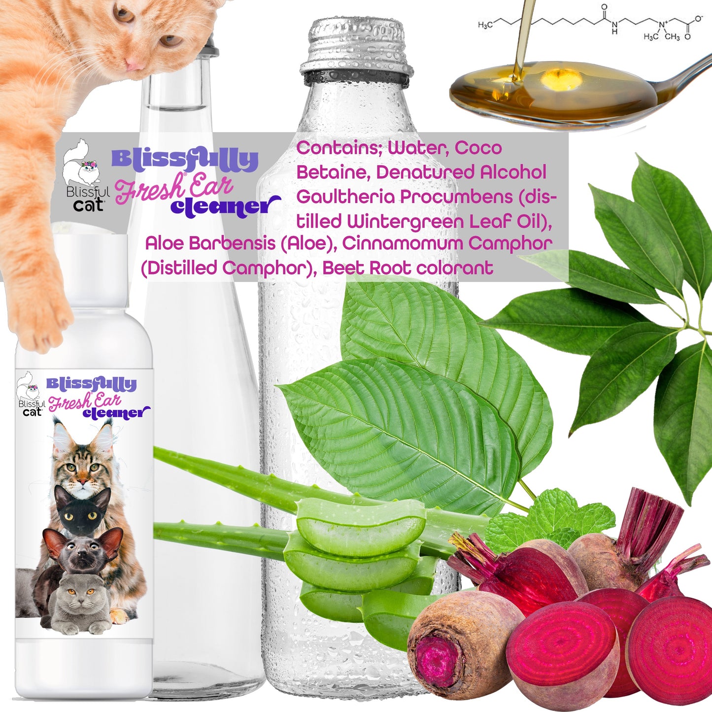 Blissfully Fresh® Cat Ear Cleaner