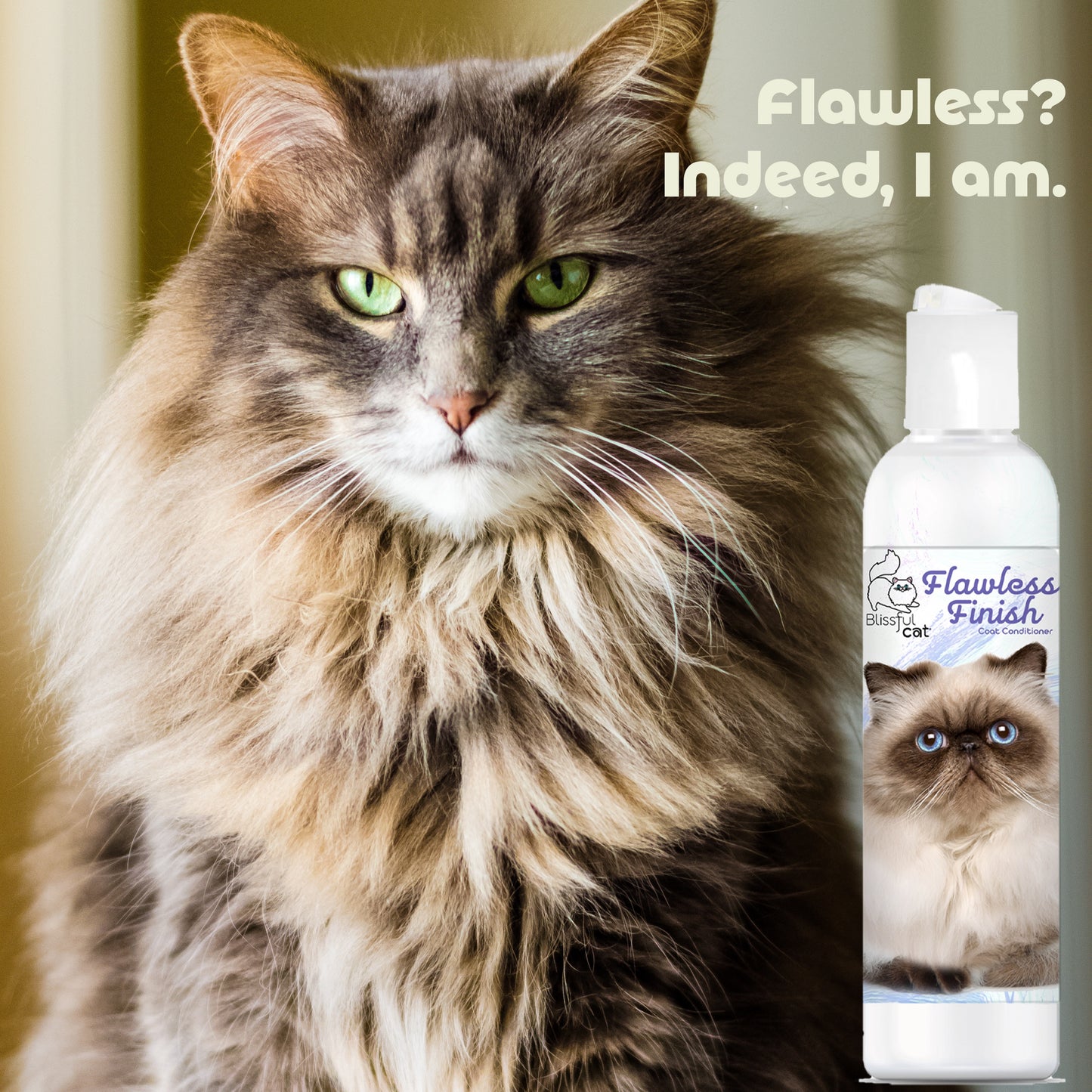 Flawless Finish Cat Coat Conditioner