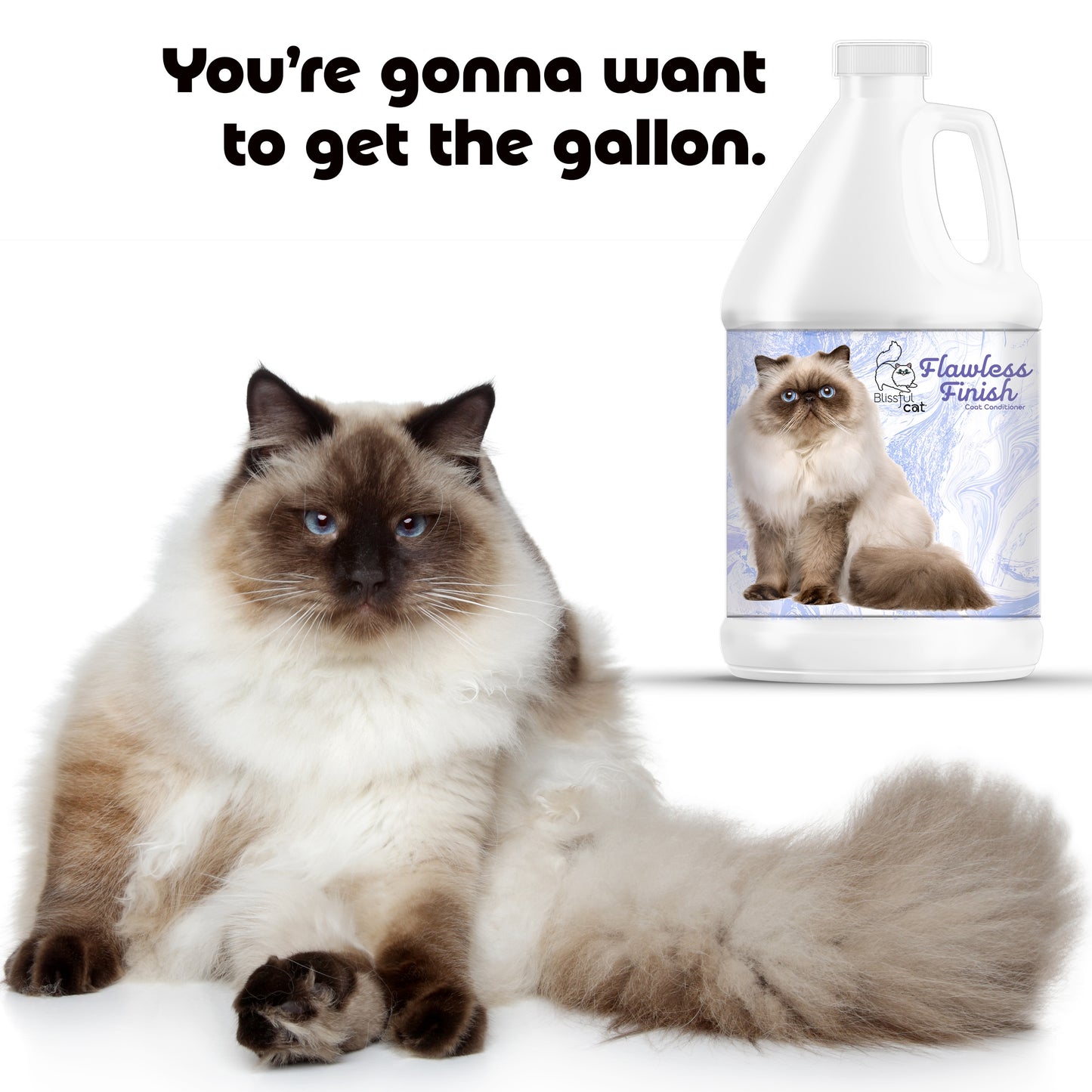 Flawless Finish Cat Coat Conditioner