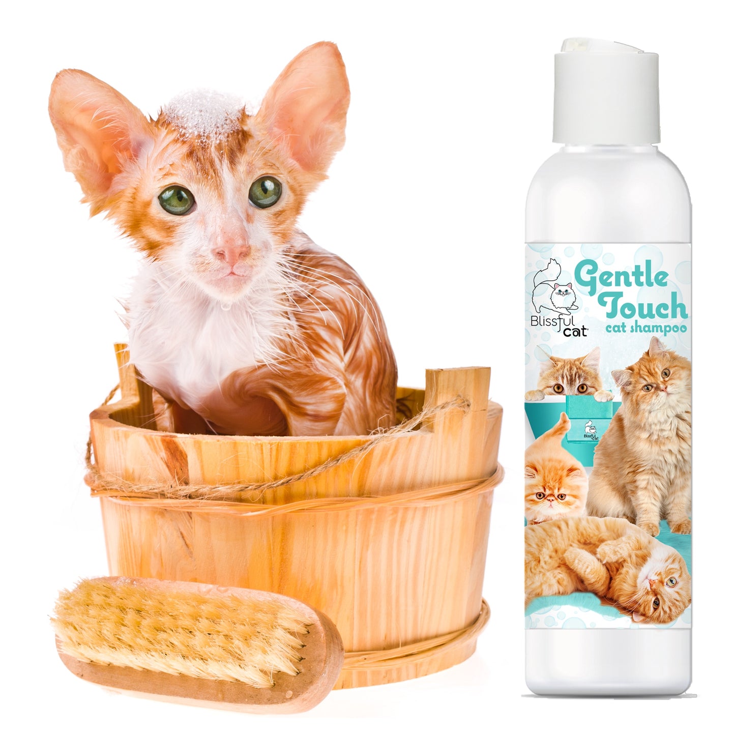 gentle touch cat bathing