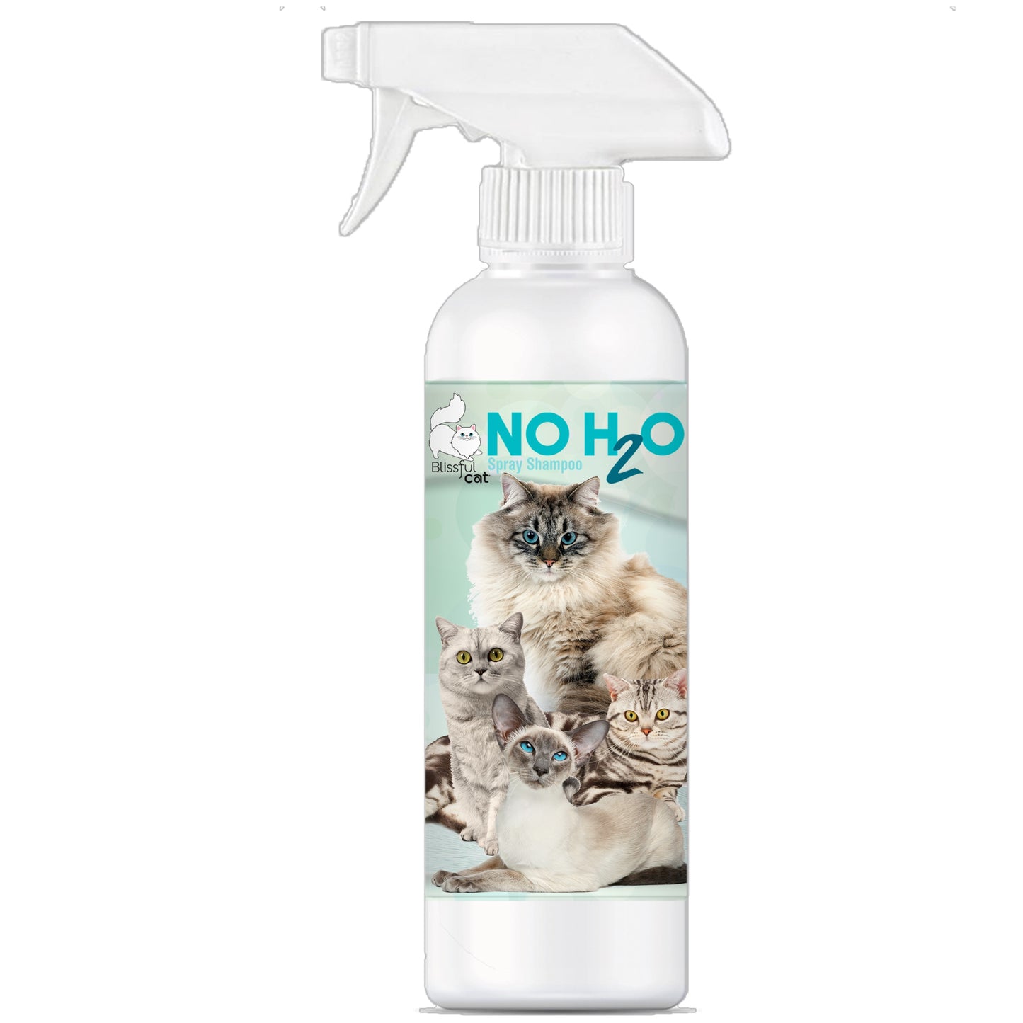 NO H20 Spray Shampoo | The Blissful Cat