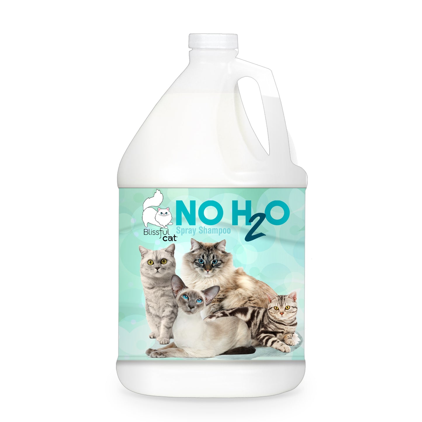 NO H20 Spray Shampoo | The Blissful Cat