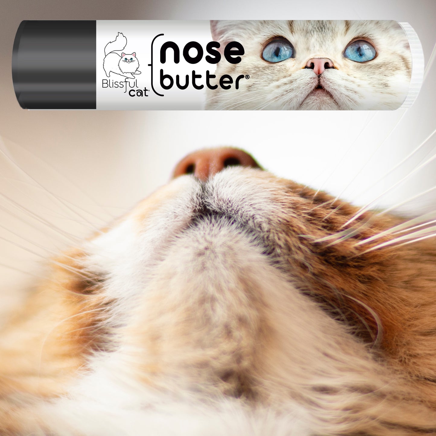 cat nose butter moisturizer
