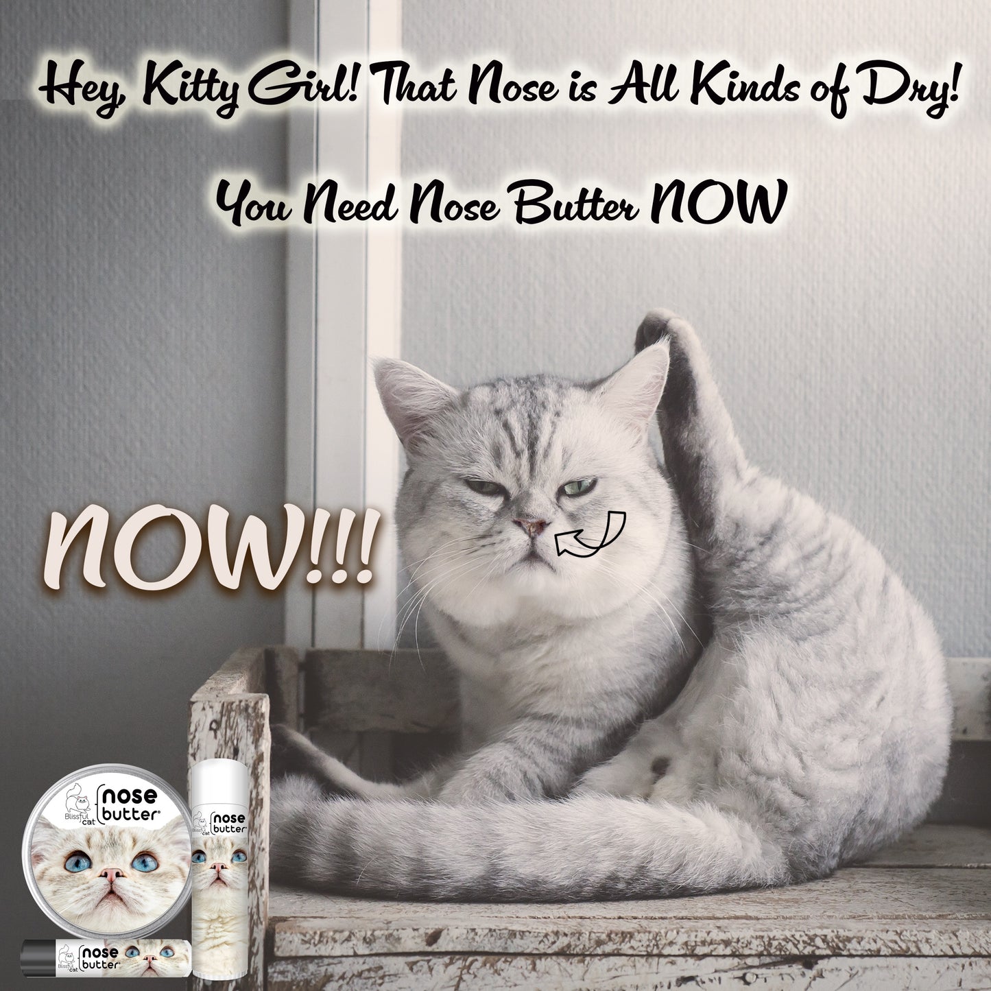 Blissful Nose Butter® | Moisturizes Dry, Rough Cat Noses
