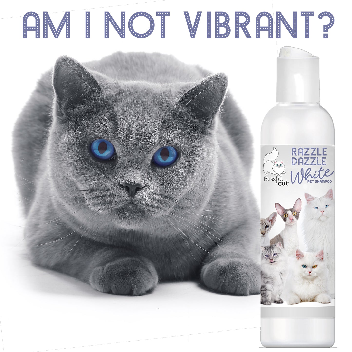 shampoo for grey cats