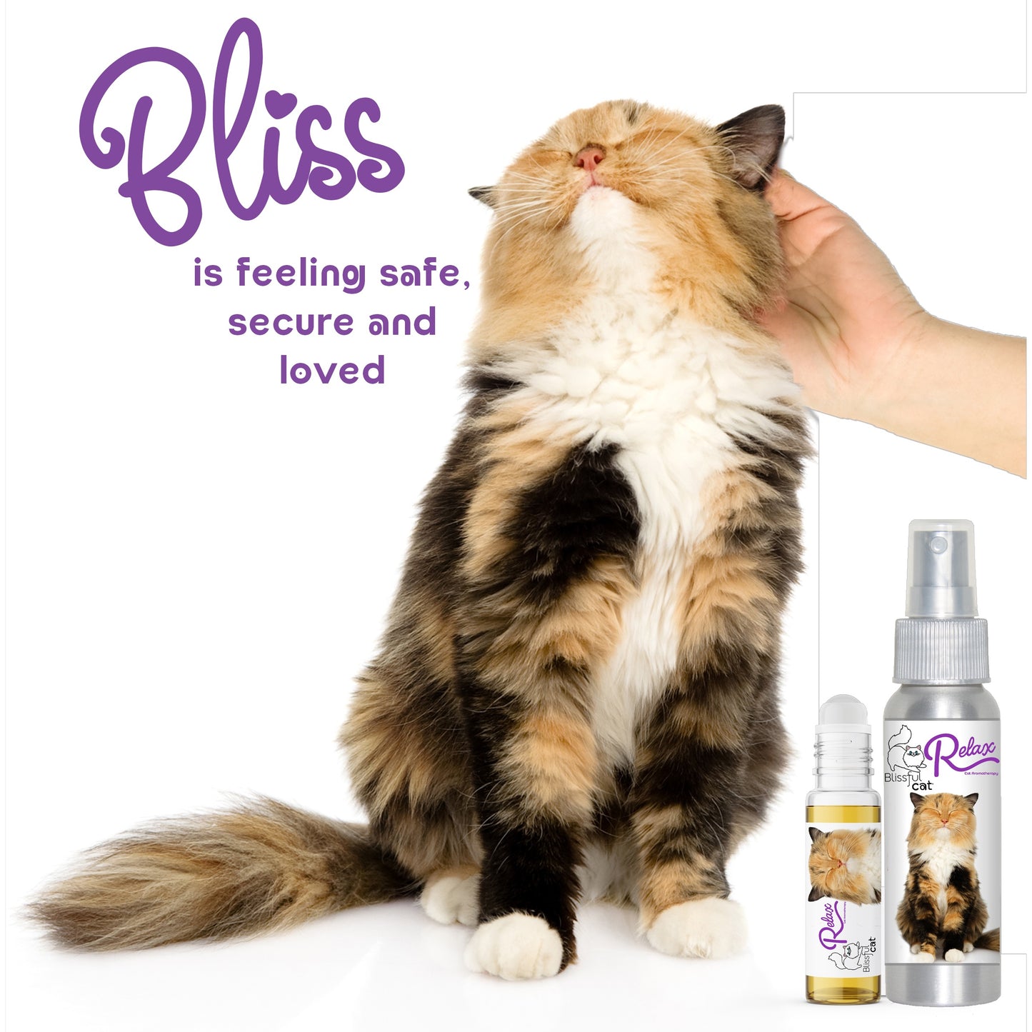 Relax Cat Aromatherapy