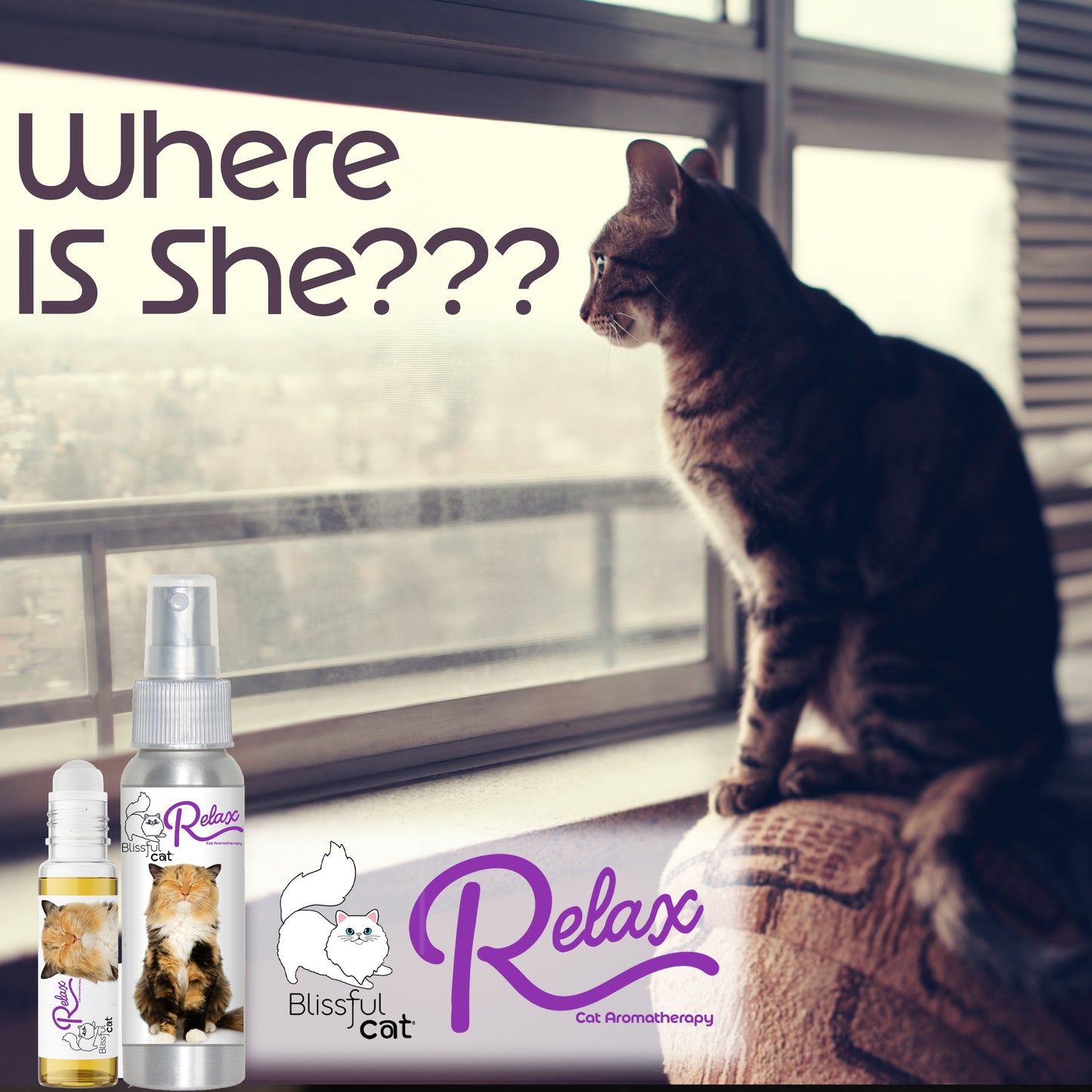 Relax Cat Aromatherapy