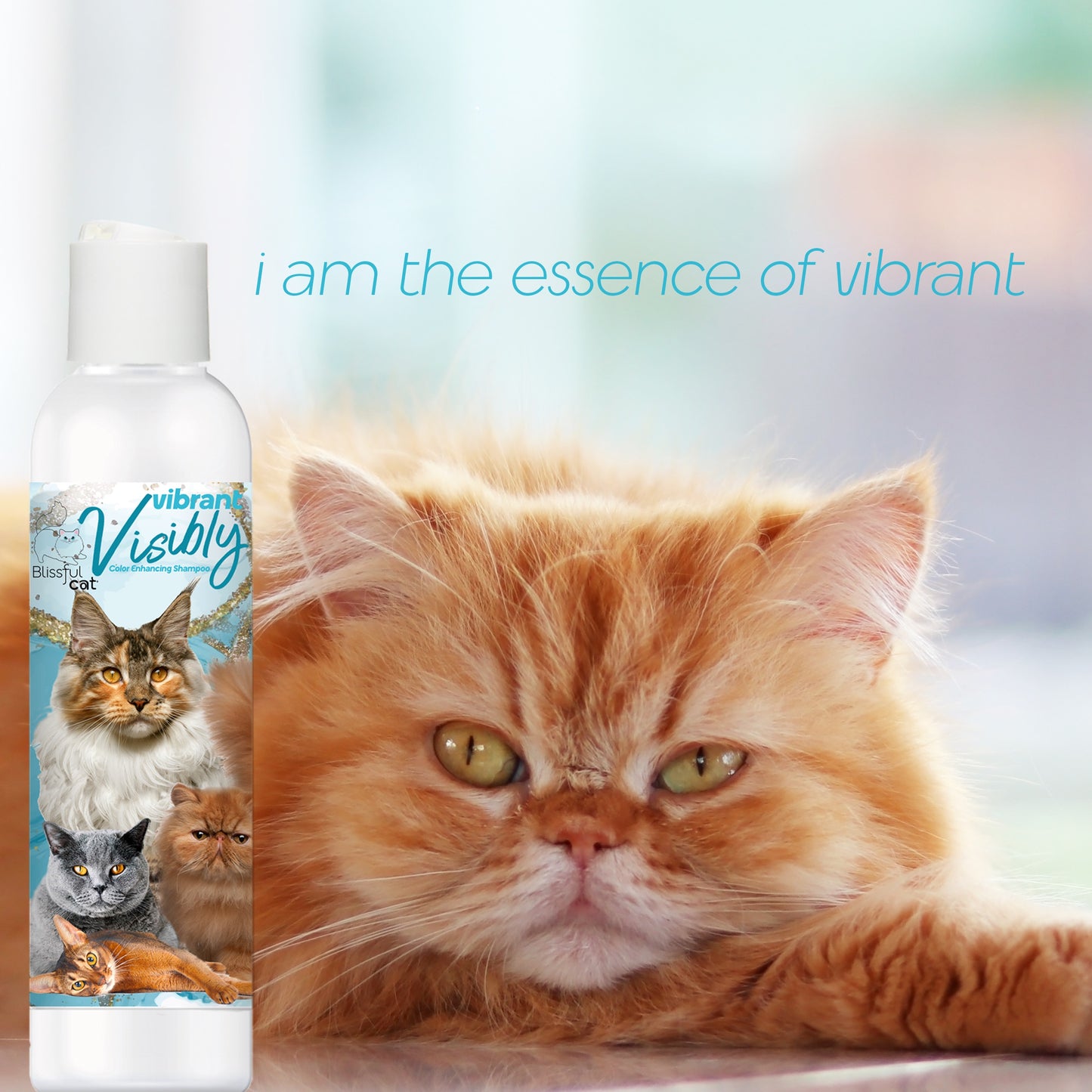 Visibly Vibrant Cat Shampoo