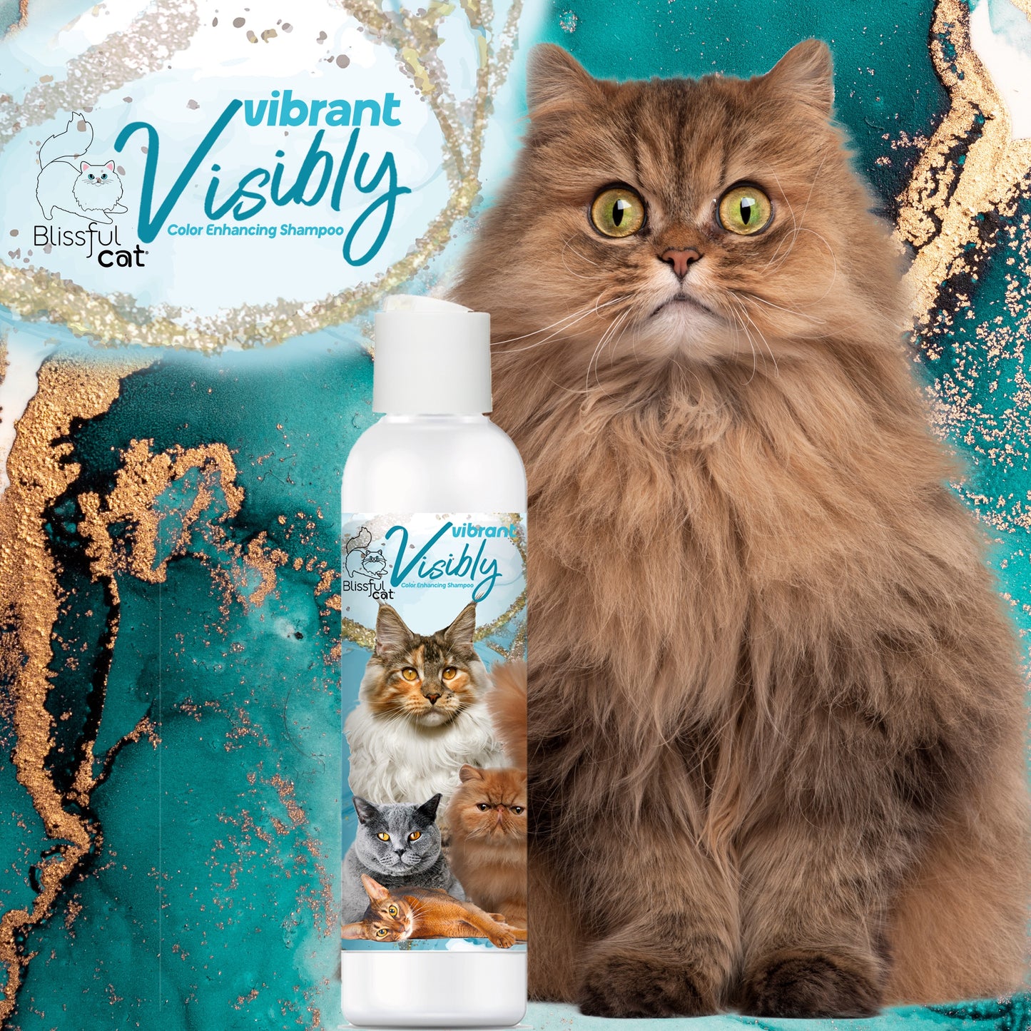 Visibly Vibrant Cat Shampoo