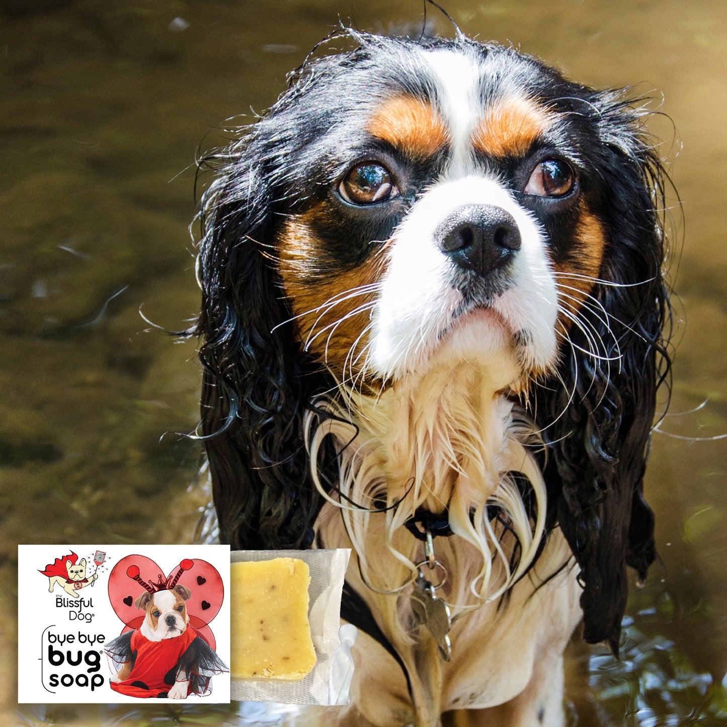 Bye Bye Bug® Dog Soap