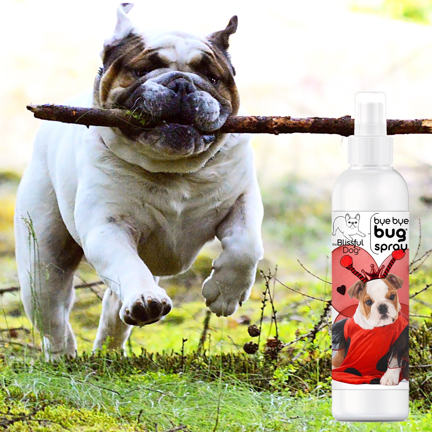 Bye Bye Bug® Spray for Your Dog