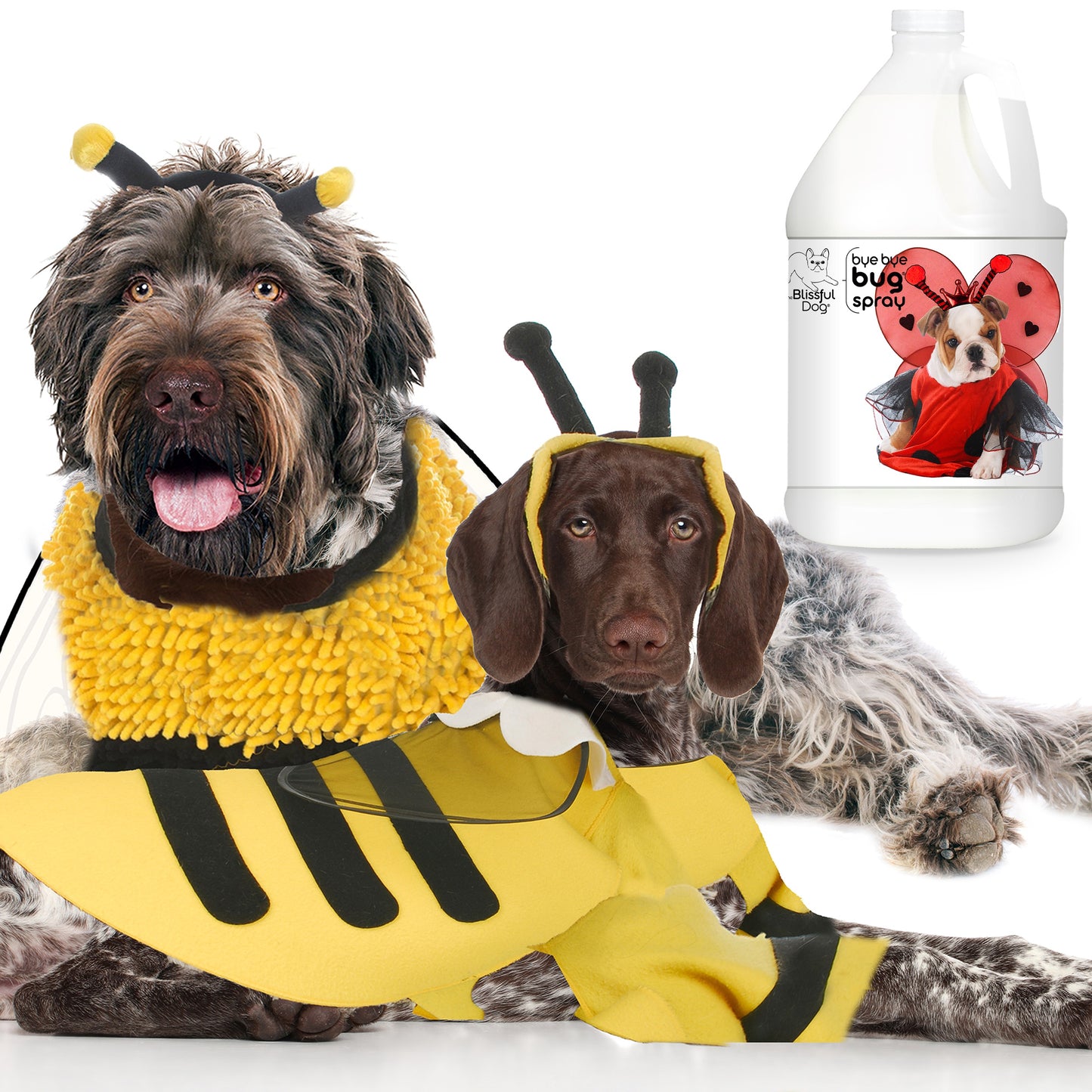 Bye Bye Bug® Spray for Your Dog