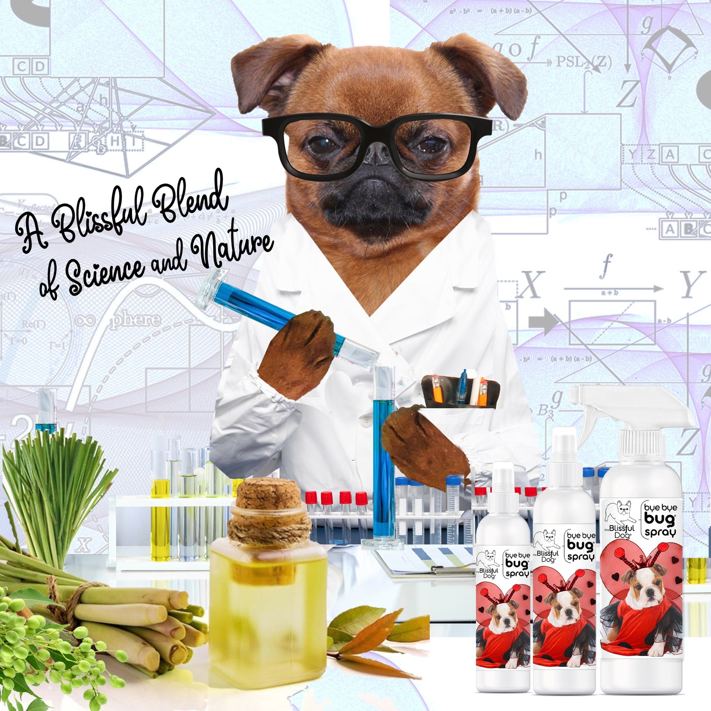 Bye Bye Bug® Spray for Your Dog