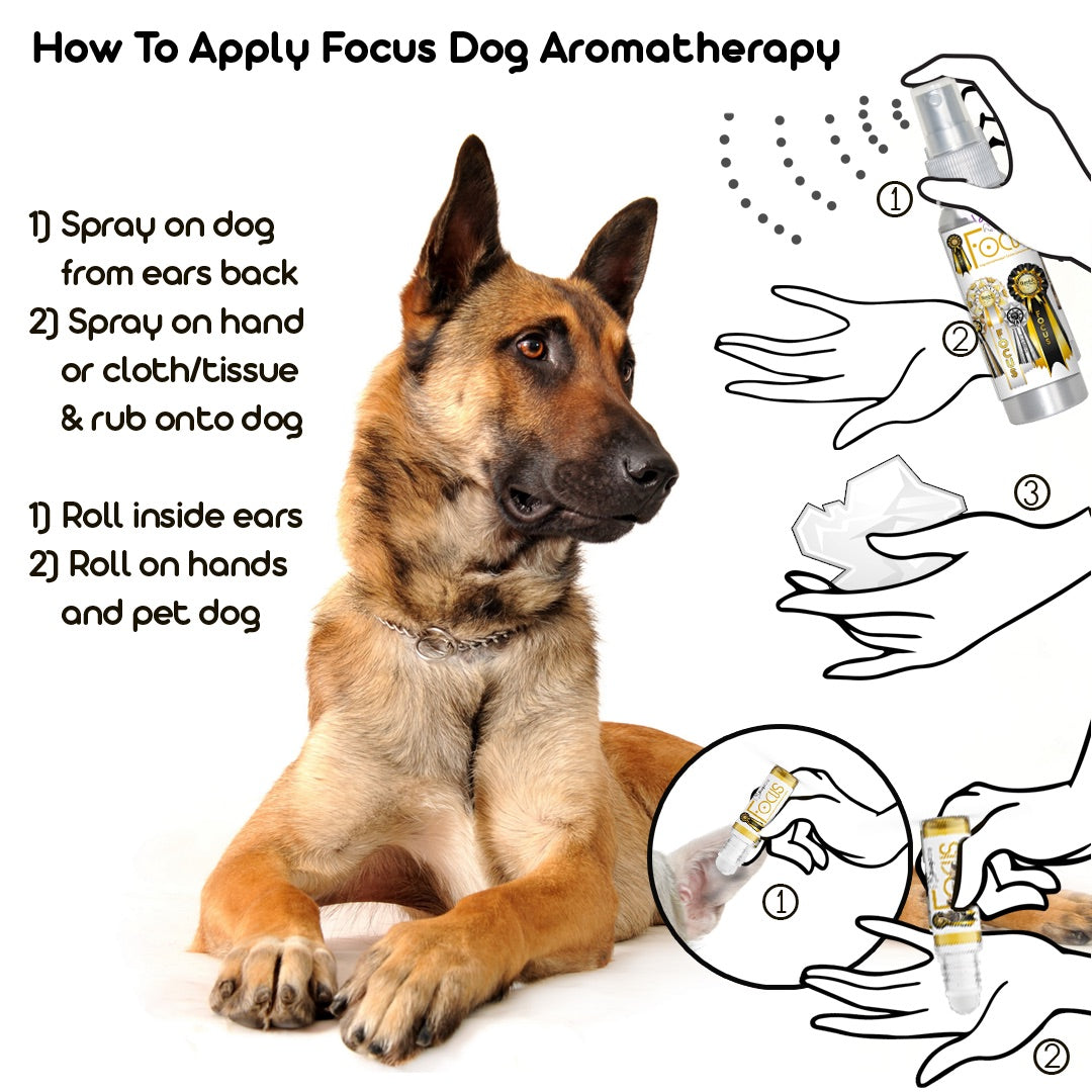 Focus Dog Aromatherapy