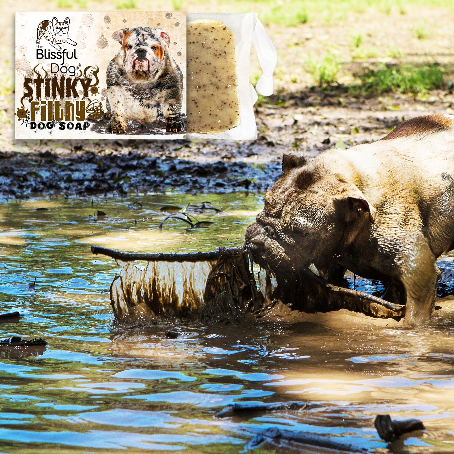 Stinky Filthy Dog Shampoo & Soap