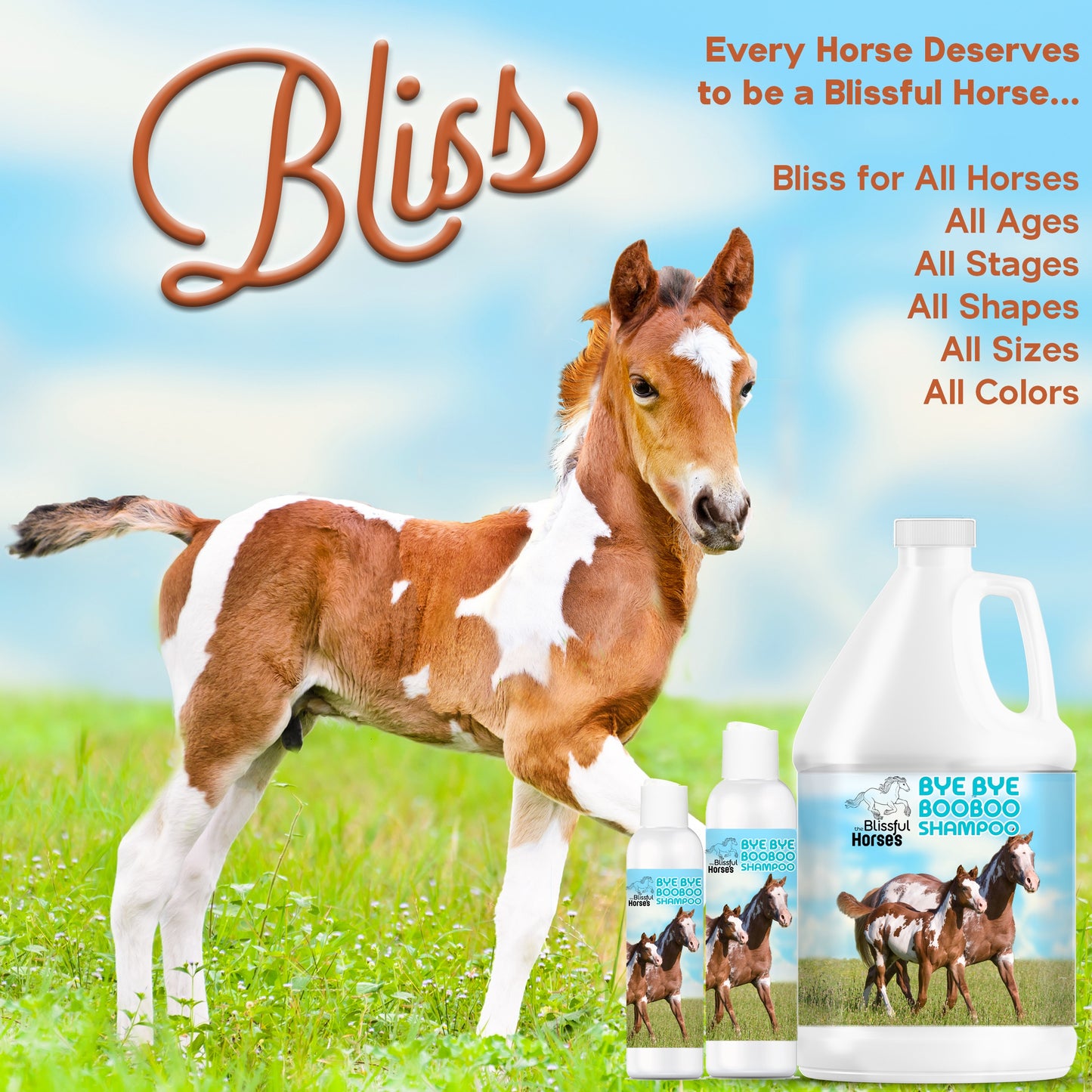 Bye Bye Boo Boo® Horse Shampoo & Soap