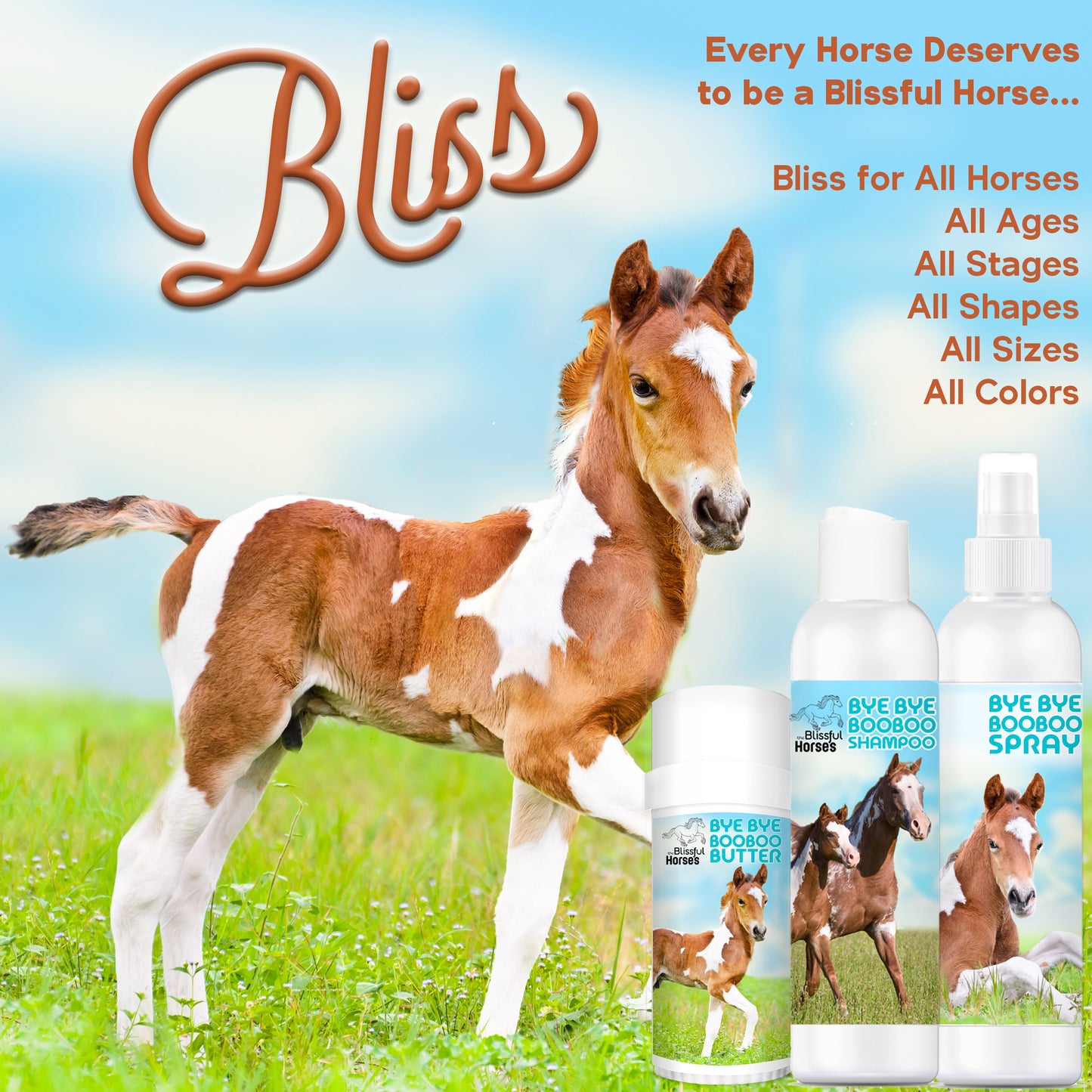 Bye Bye Boo Boo® Hello Bliss Combo Kit for Horses