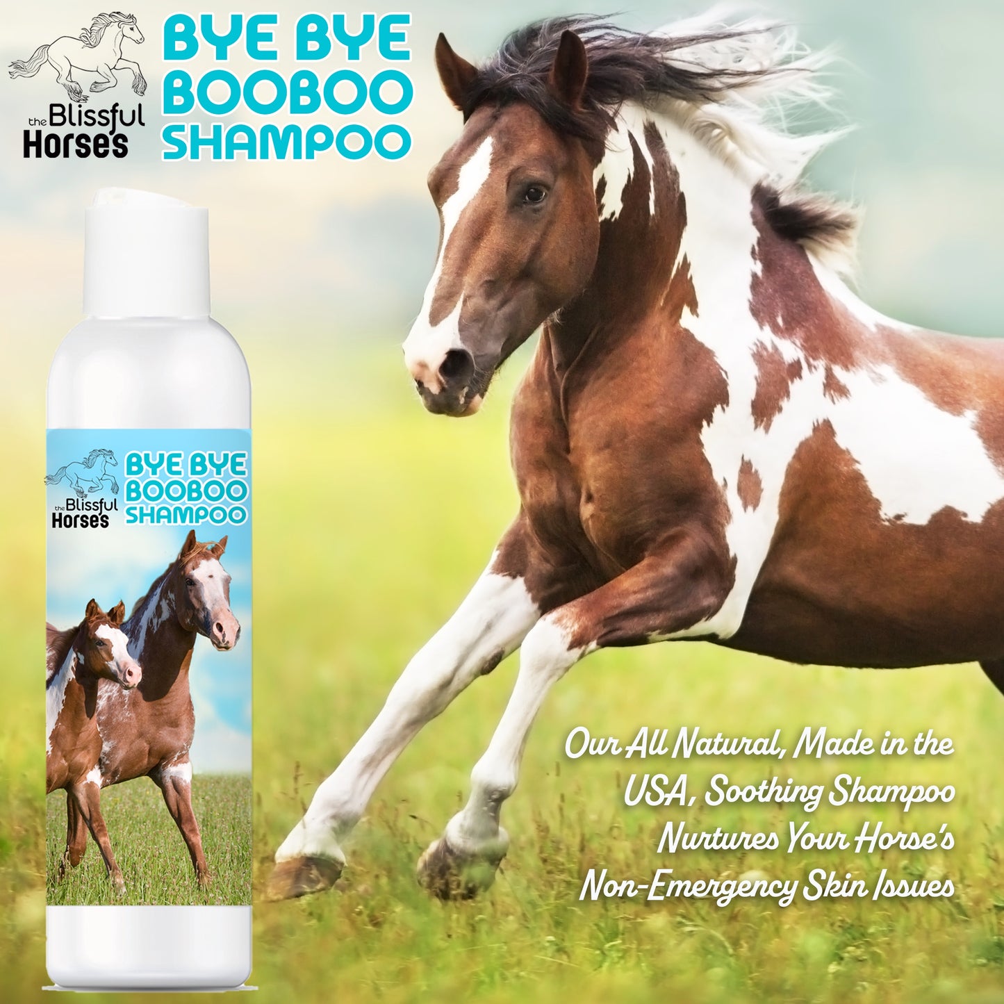 Bye Bye Boo Boo® Horse Shampoo & Soap