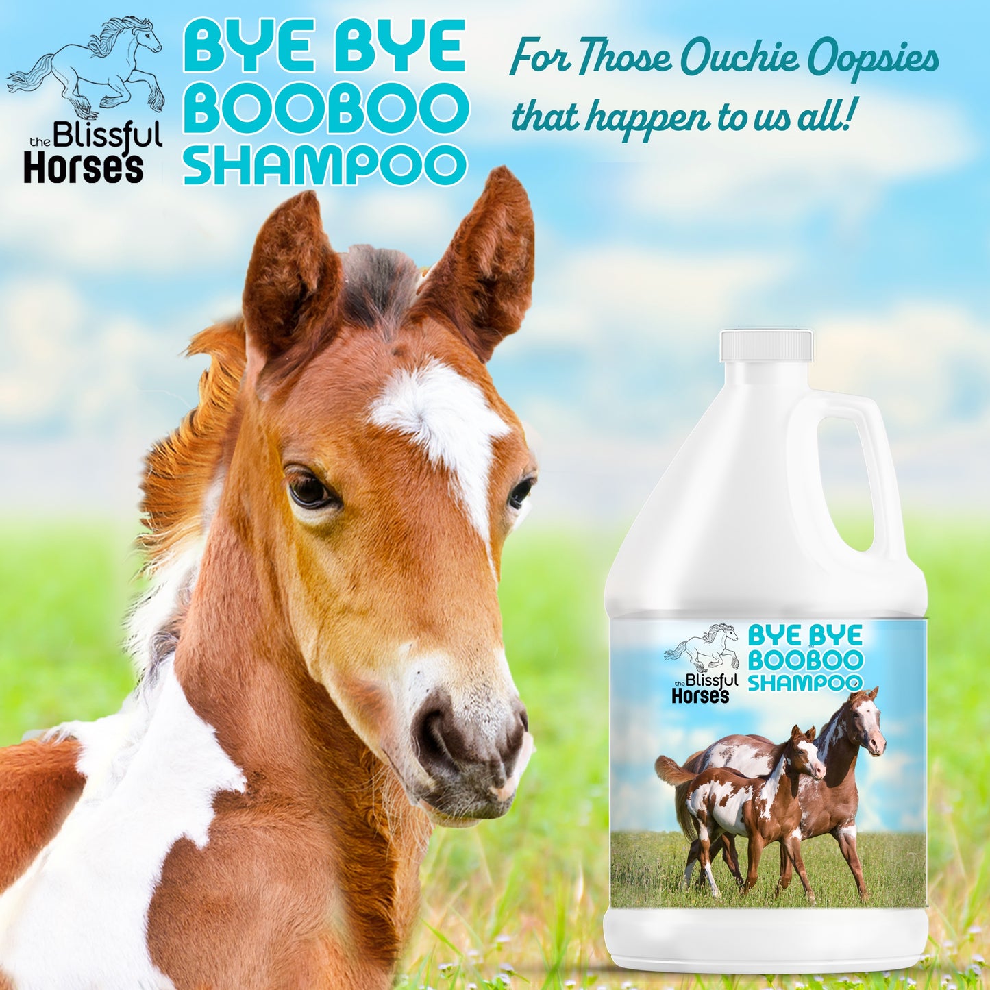 Bye Bye Boo Boo® Horse Shampoo & Soap