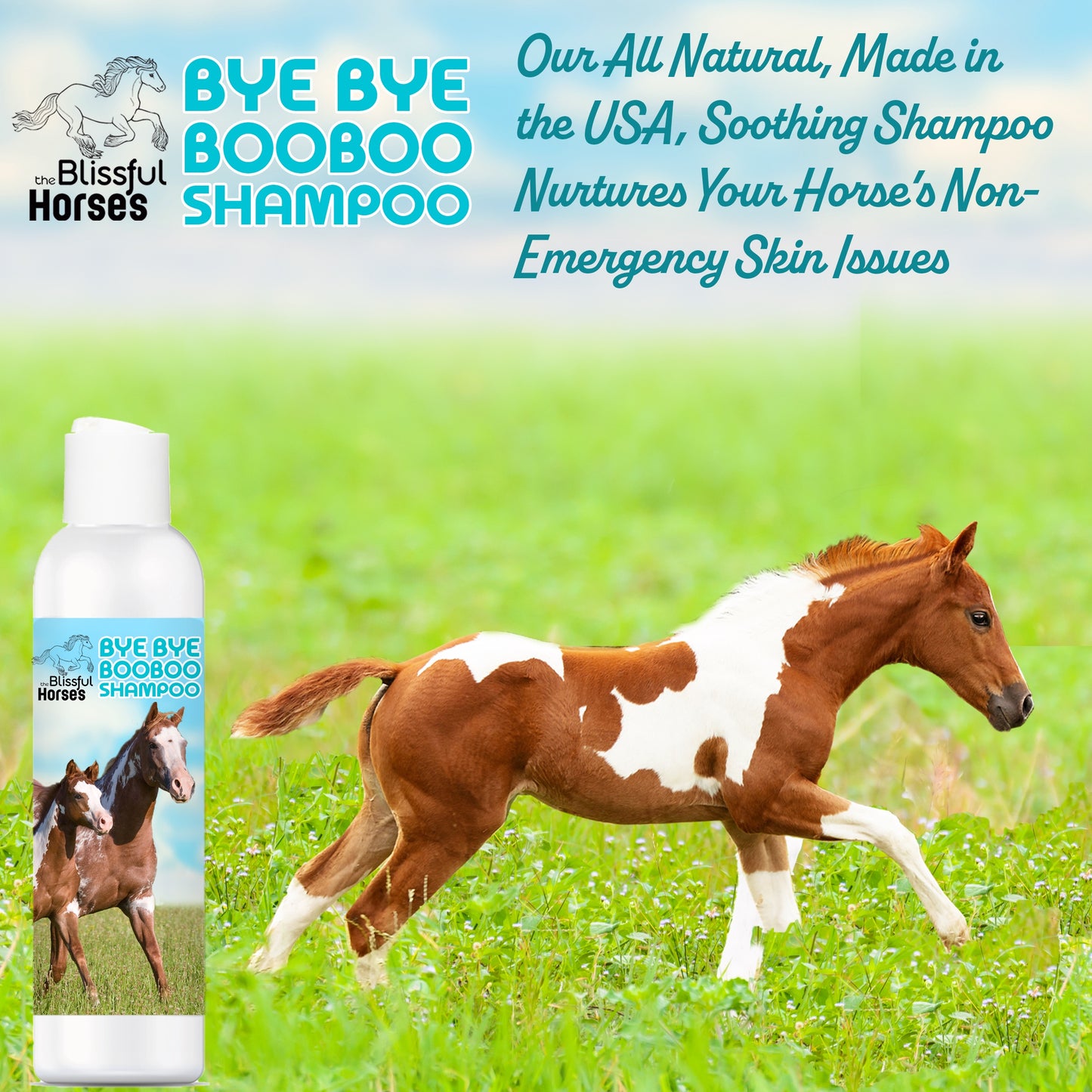 Bye Bye Boo Boo® Horse Shampoo & Soap