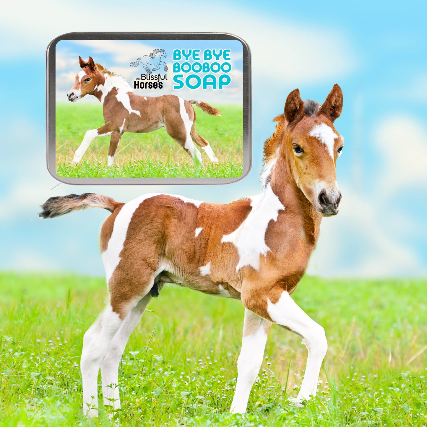 Bye Bye Boo Boo® Horse Shampoo & Soap
