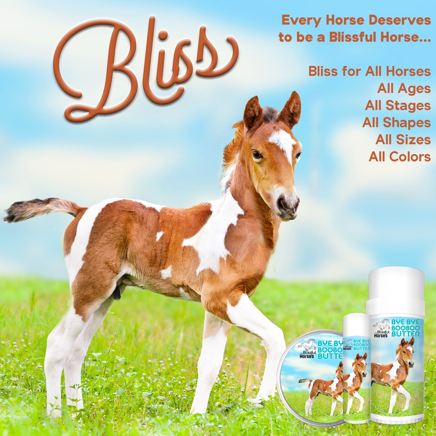Bye Bye Boo Boo® Butter Skin Care for Your Horse