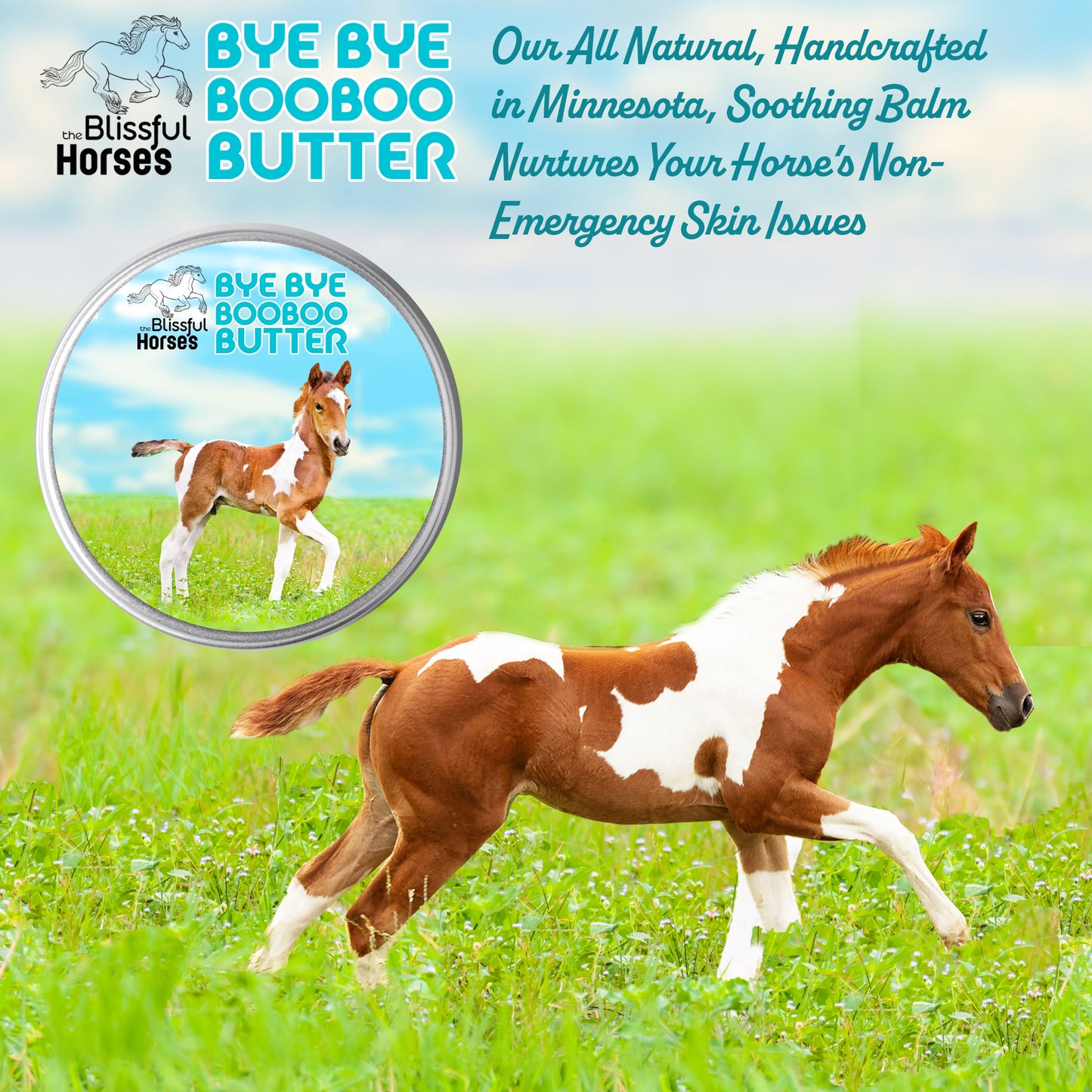 Bye Bye Boo Boo® Butter Skin Care for Your Horse