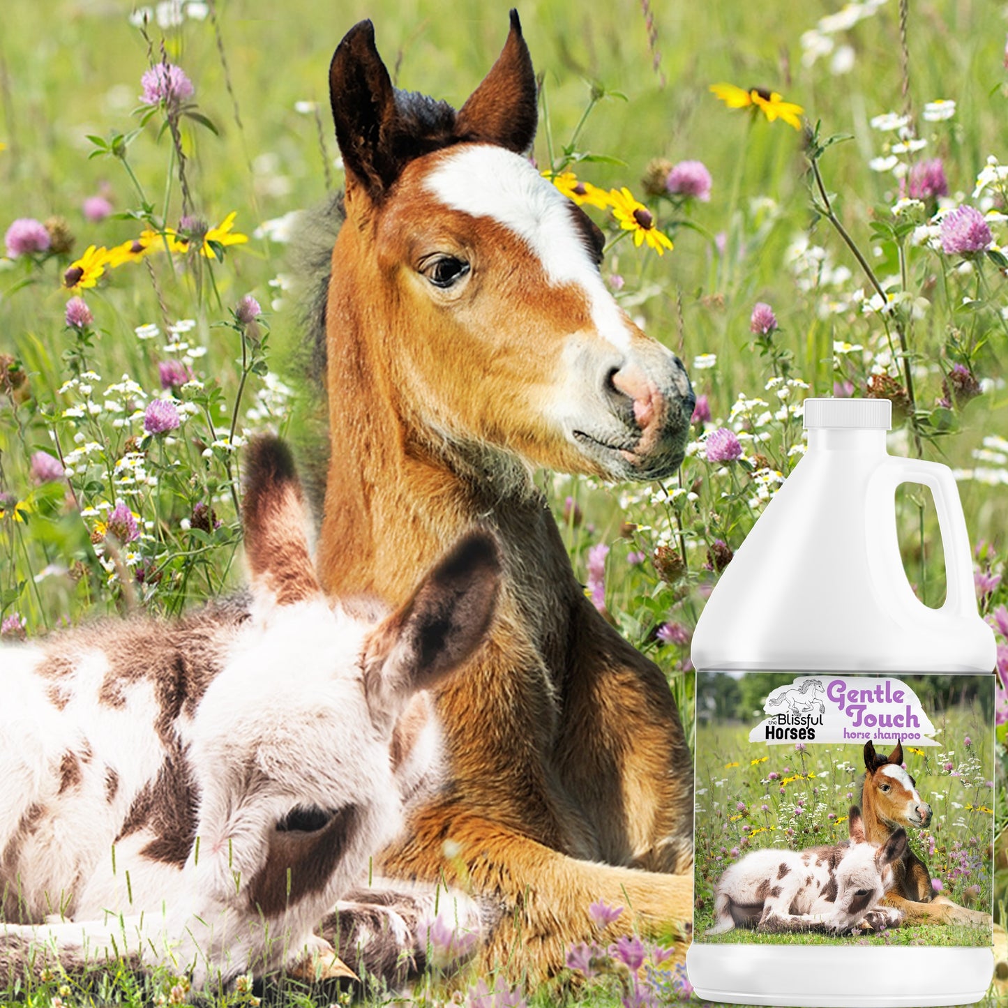 gallon gentle touch horse shampoo