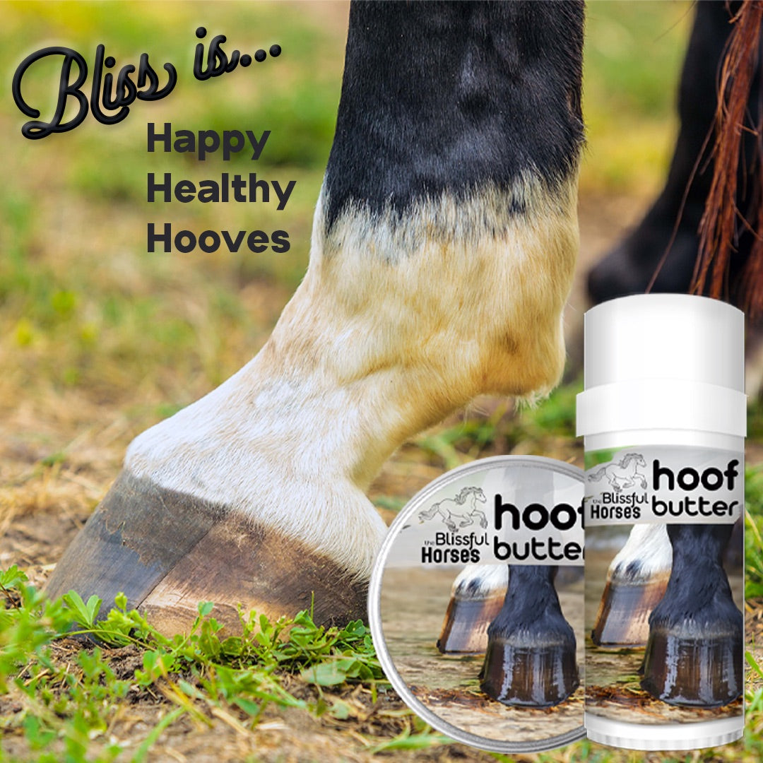 Blissful Butter Bundle for Horses