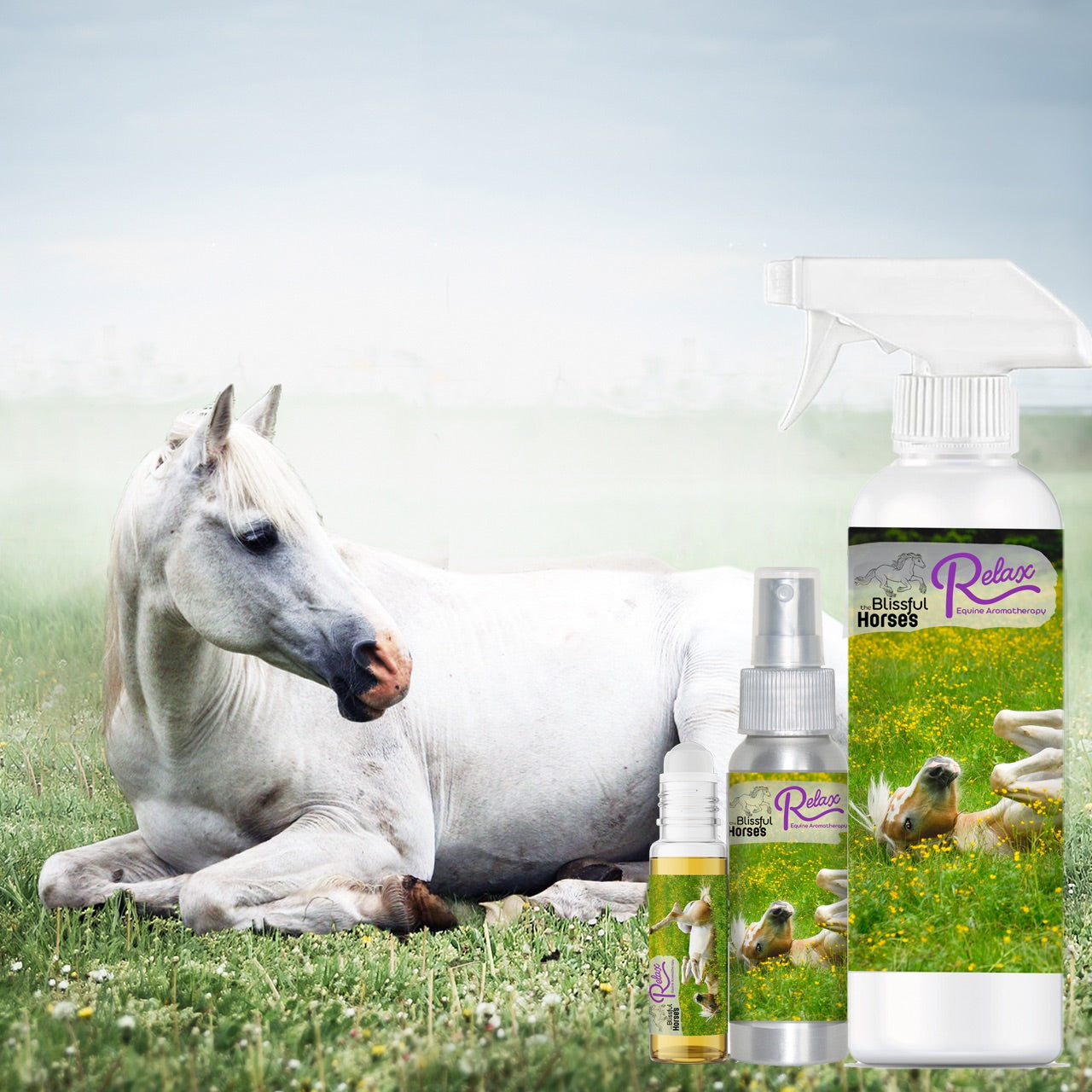Relax Horse Aromatherapy Calms Spooked, High Strung Horses