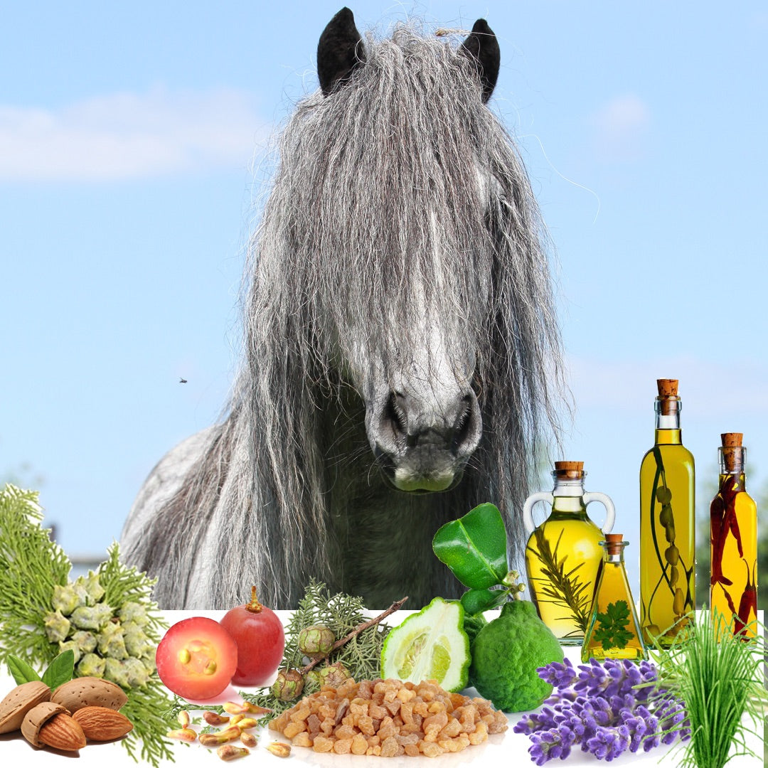 Relax Horse Aromatherapy Calms Spooked, High Strung Horses
